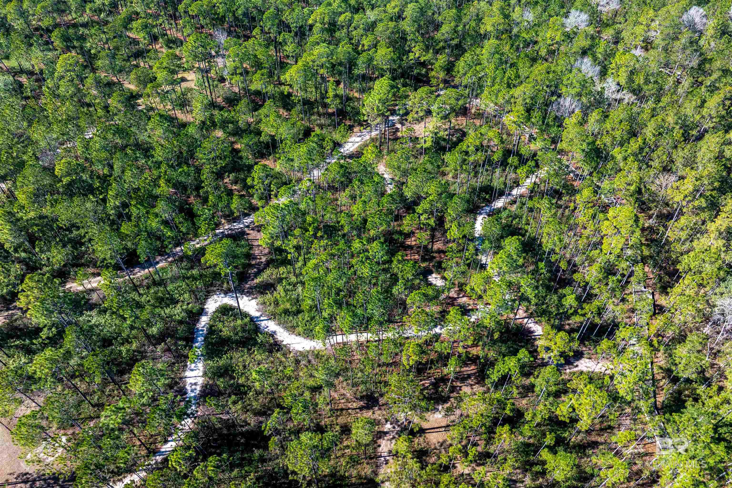 22880 Lieutenant Avenue, Foley, AL, 36535