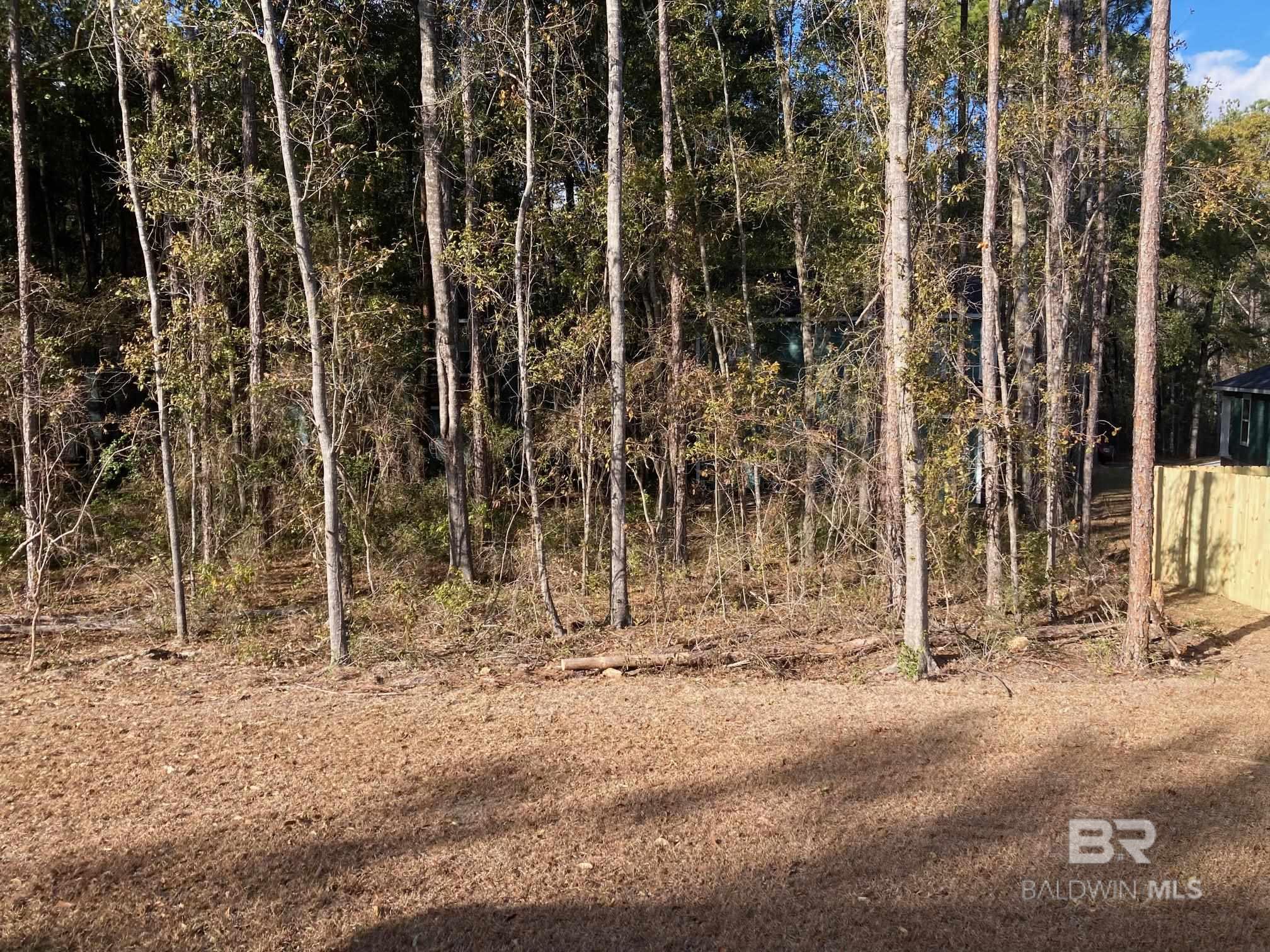 80 Summer Oaks Drive, Daphne, AL, 36526