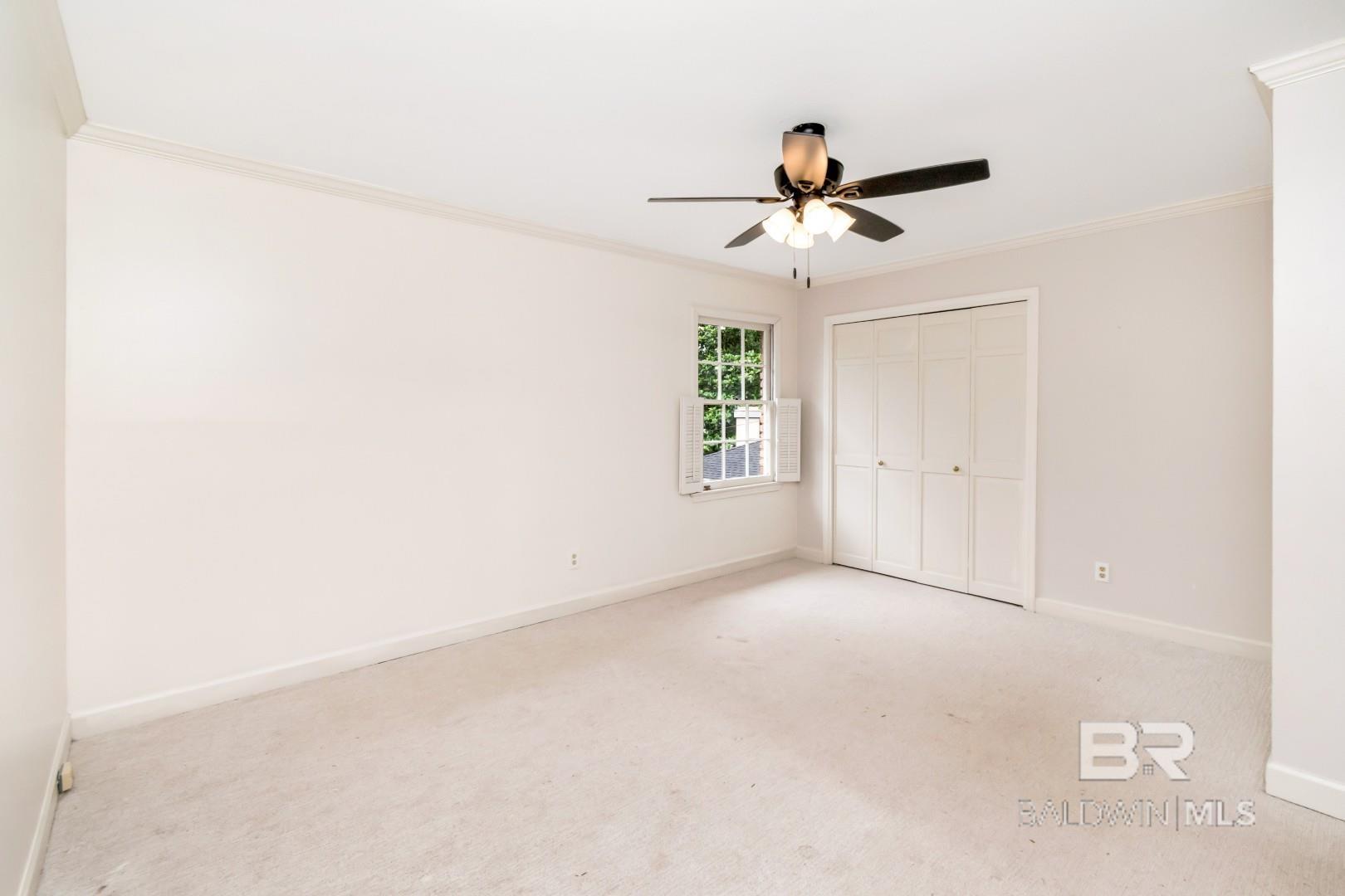 391317 | Photo 23