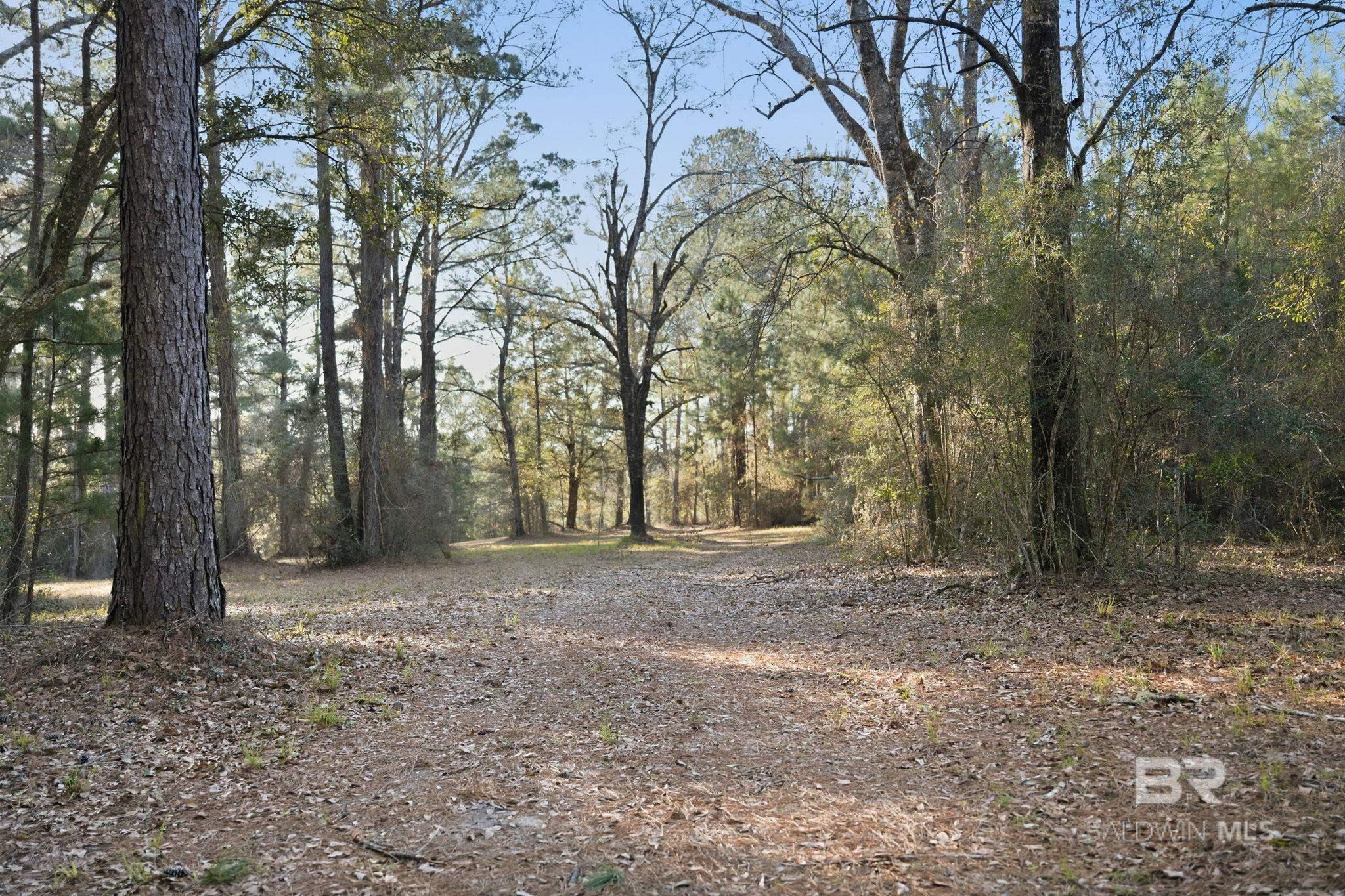 9510 D'olive Road, Spanish Fort, AL, 36527