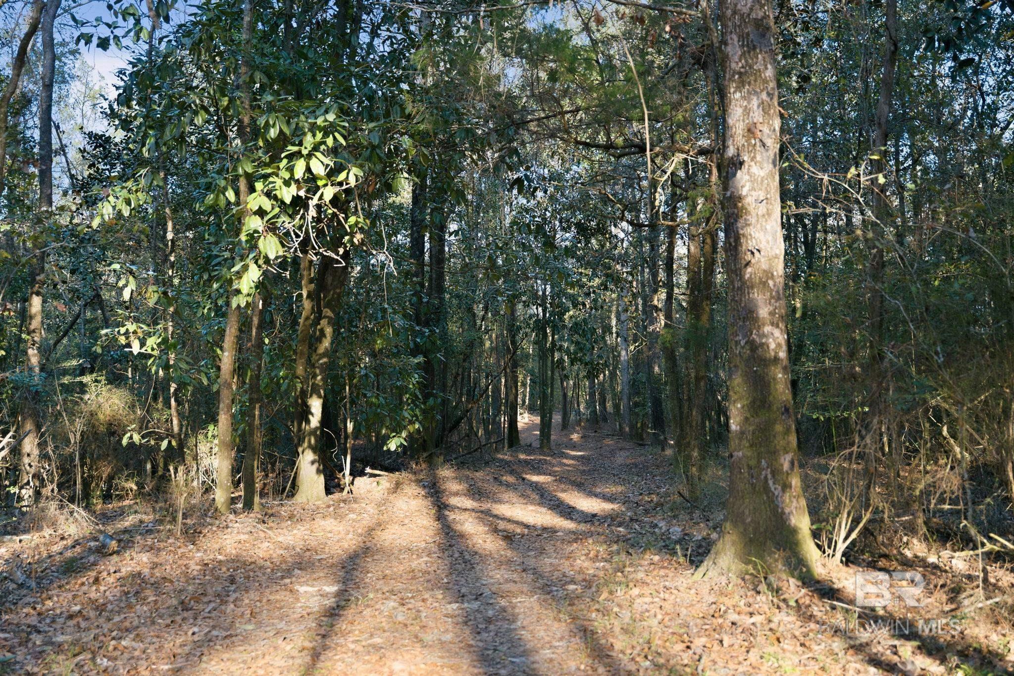 9510 D'olive Road, Spanish Fort, AL, 36527