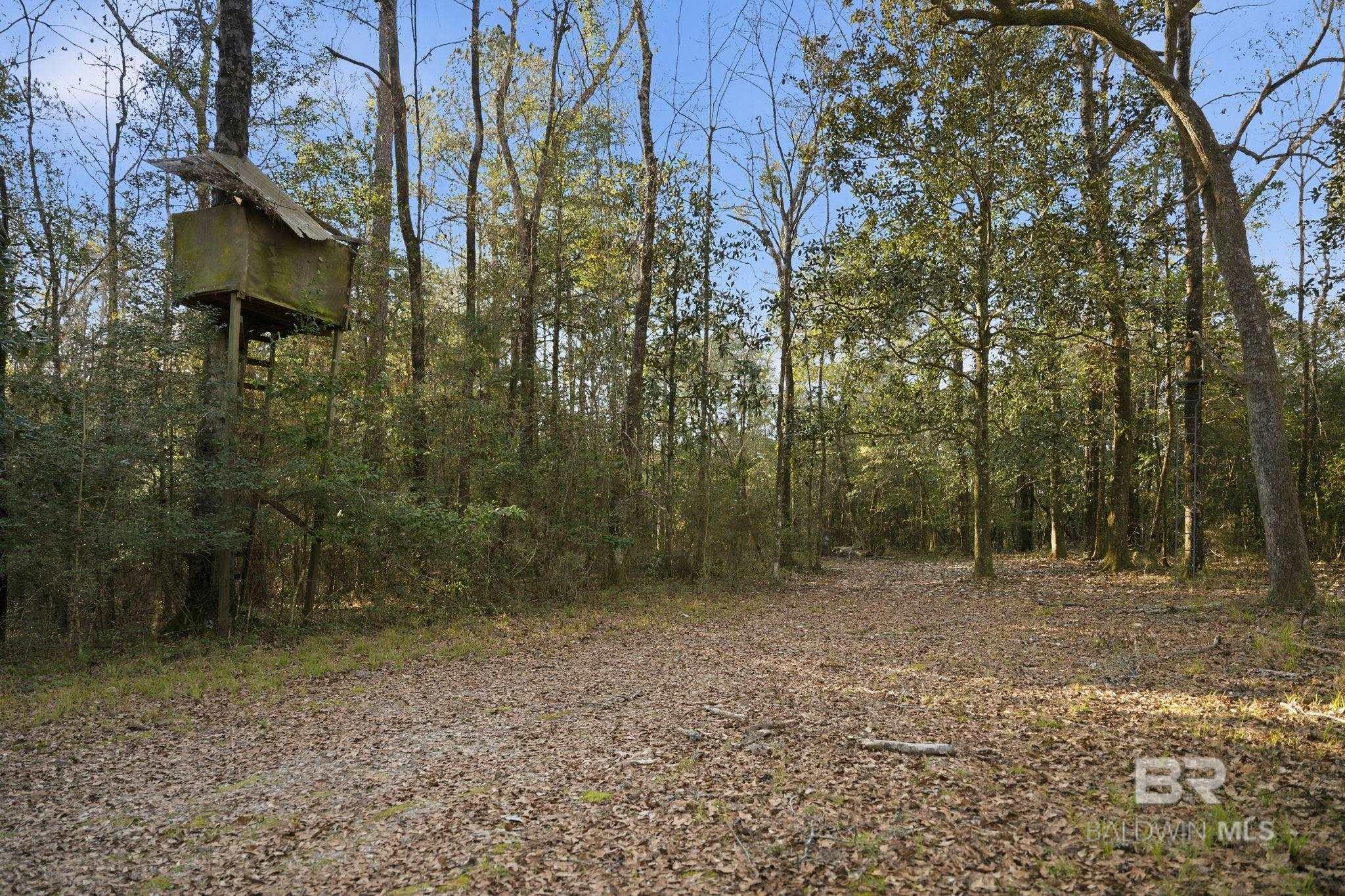 9510 D'olive Road, Spanish Fort, AL, 36527