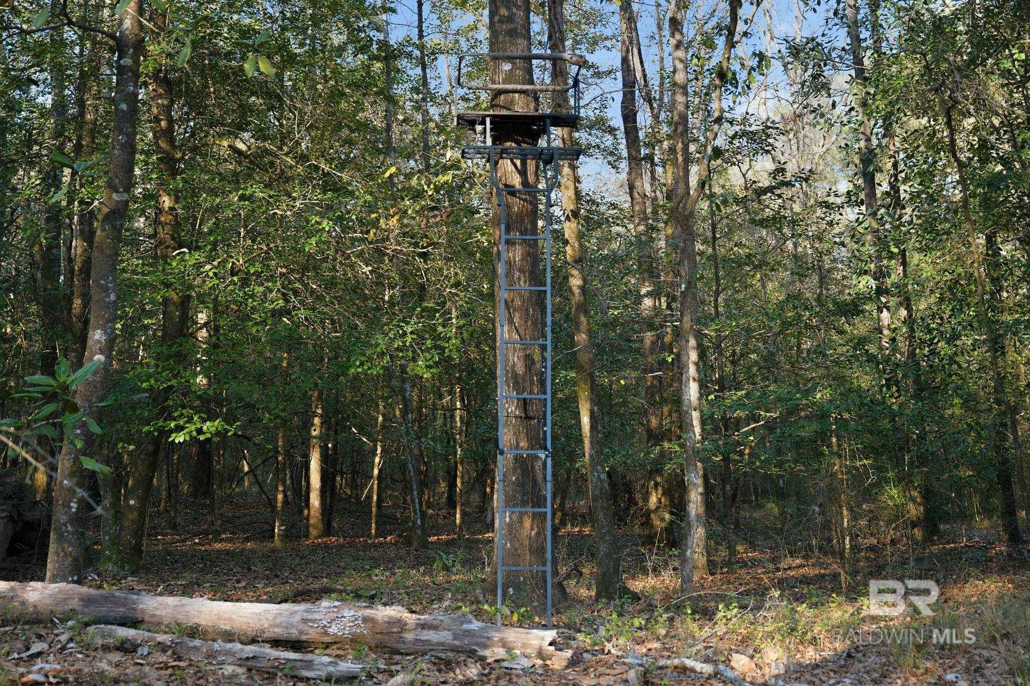 9510 D'olive Road, Spanish Fort, AL, 36527