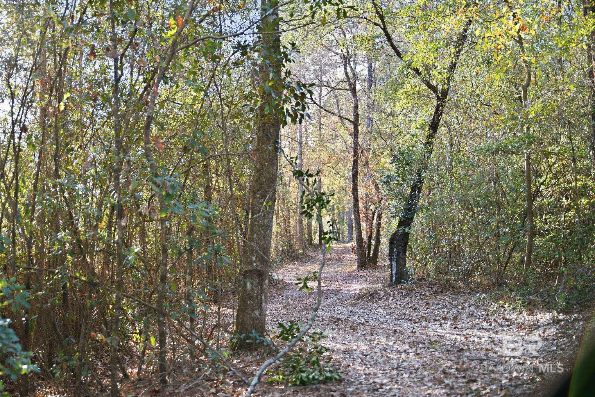 9510 D'olive Road, Spanish Fort, AL, 36527