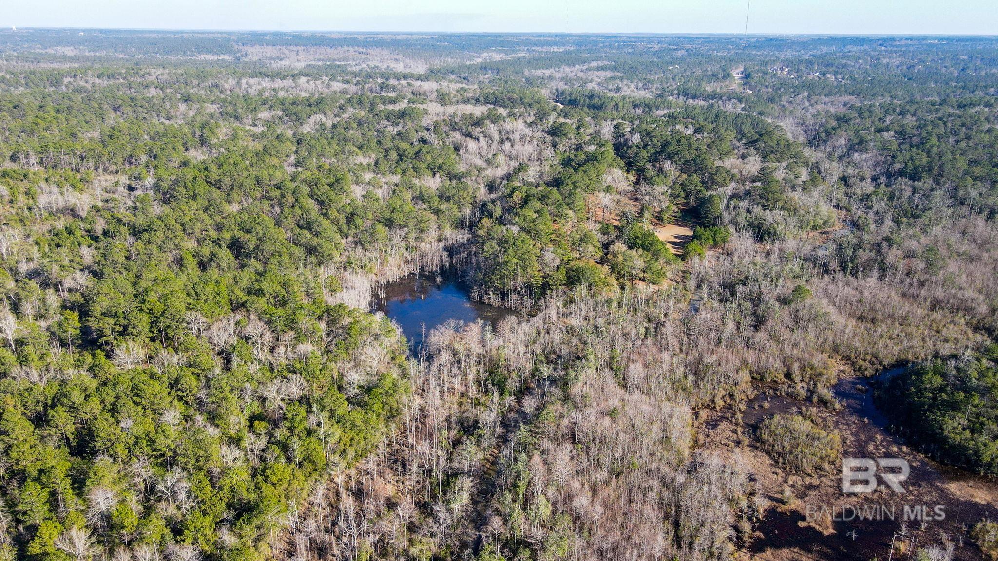 9510 D'olive Road, Spanish Fort, AL, 36527