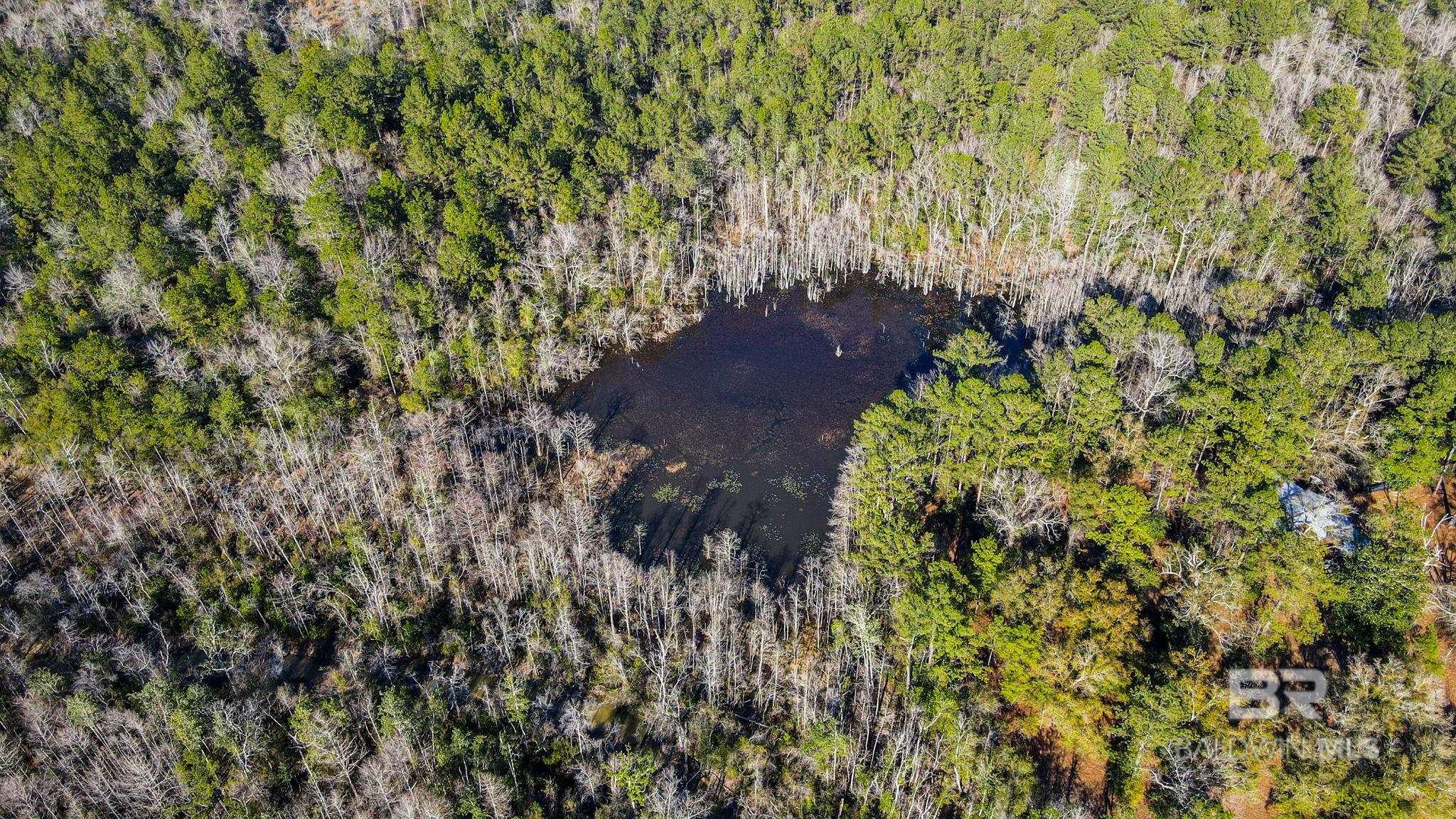 9510 D'olive Road, Spanish Fort, AL, 36527