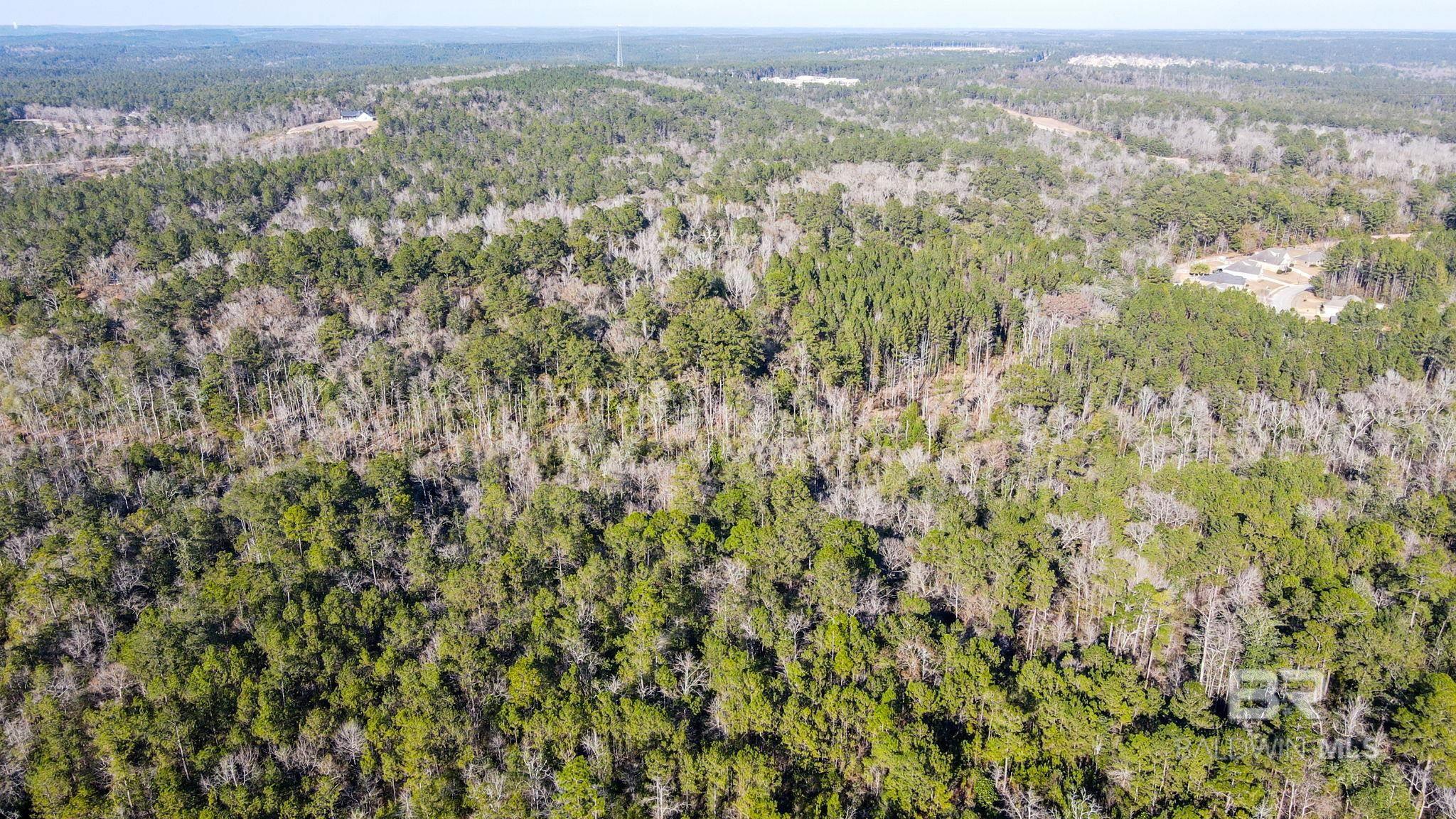 9510 D'olive Road, Spanish Fort, AL, 36527