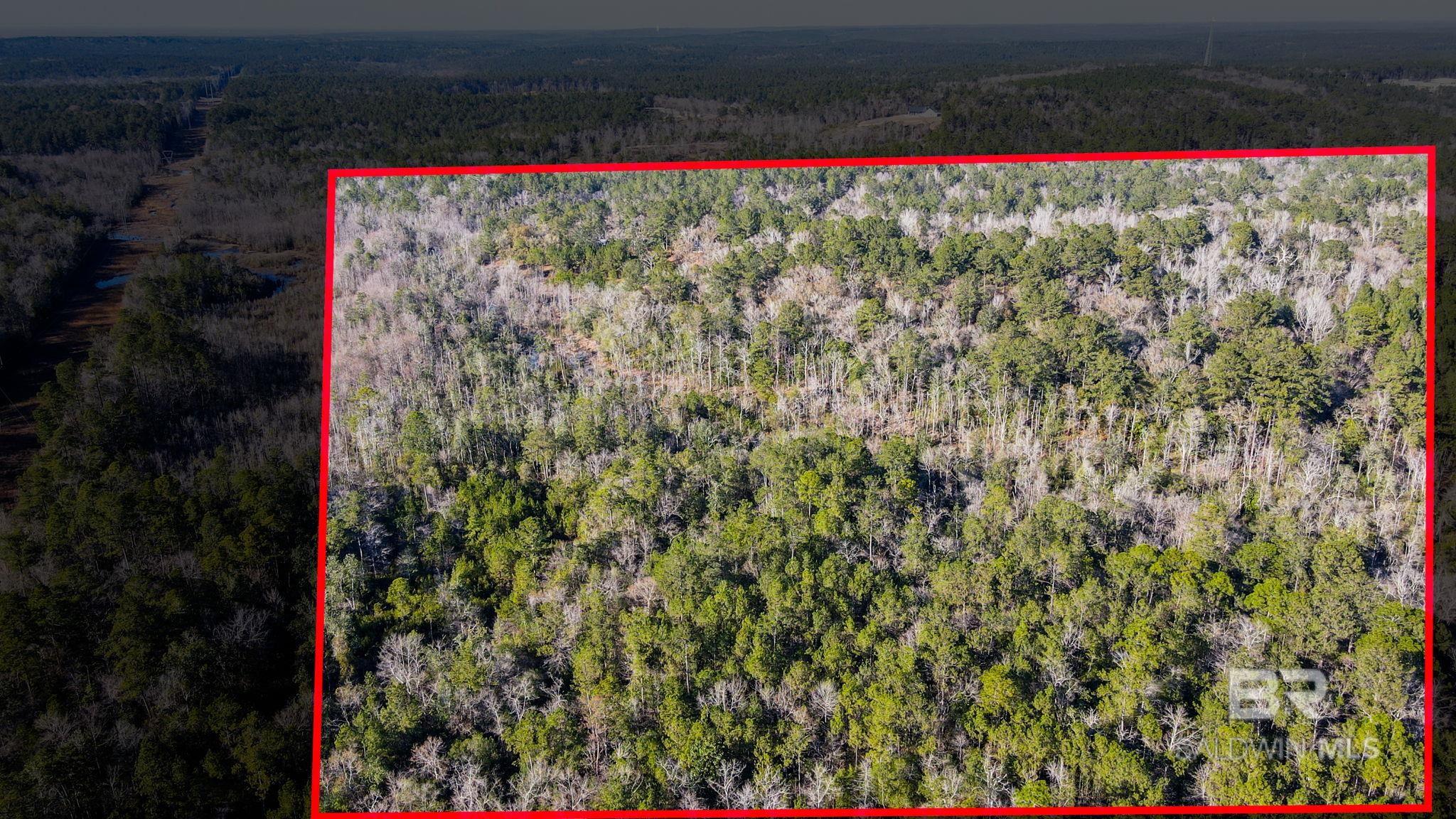 9510 D'olive Road, Spanish Fort, AL, 36527