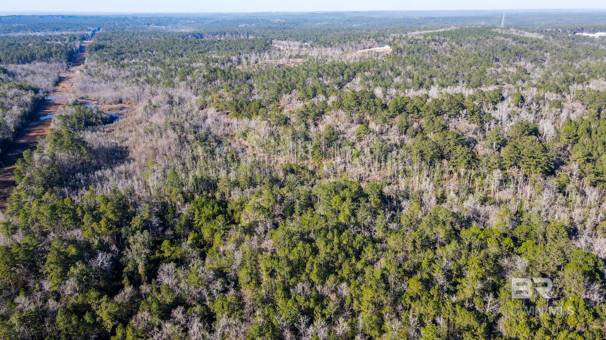 9510 D'olive Road, Spanish Fort, AL, 36527