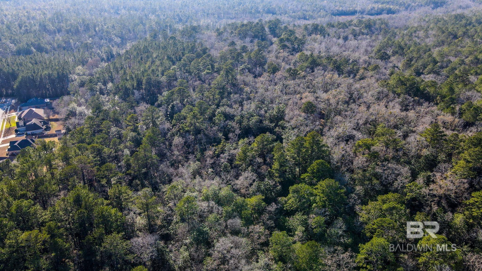 9510 D'olive Road, Spanish Fort, AL, 36527