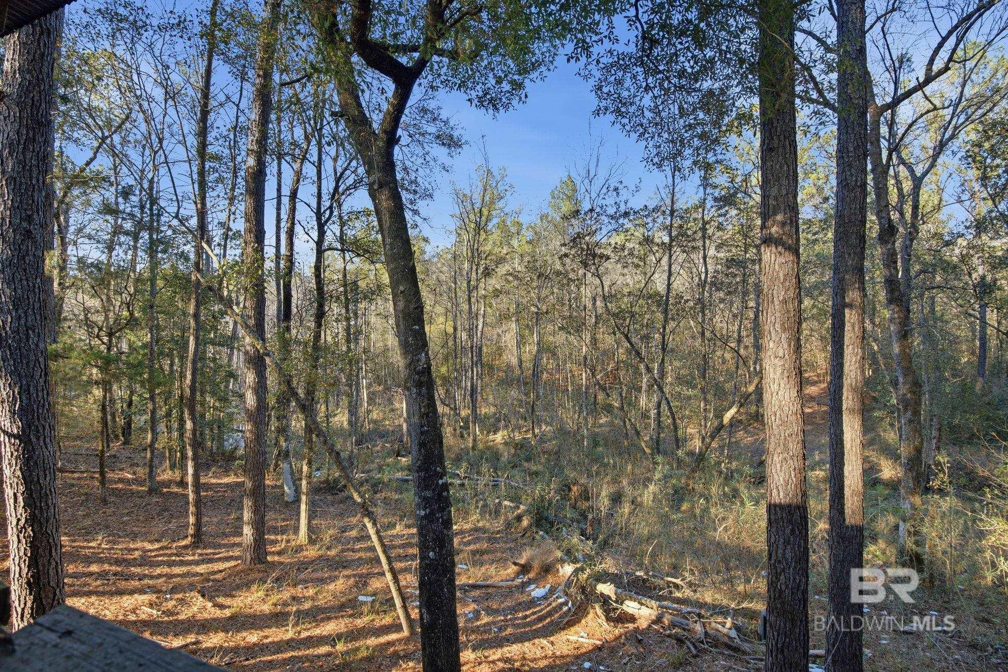 9510 D'olive Road, Spanish Fort, AL, 36527