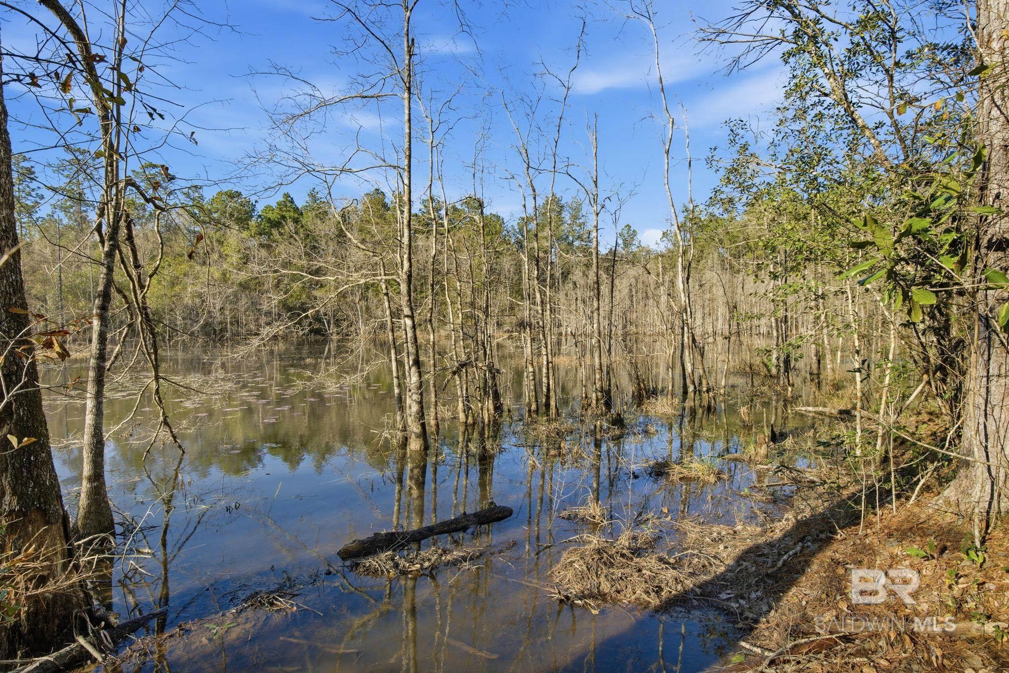 9510 D'olive Road, Spanish Fort, AL, 36527