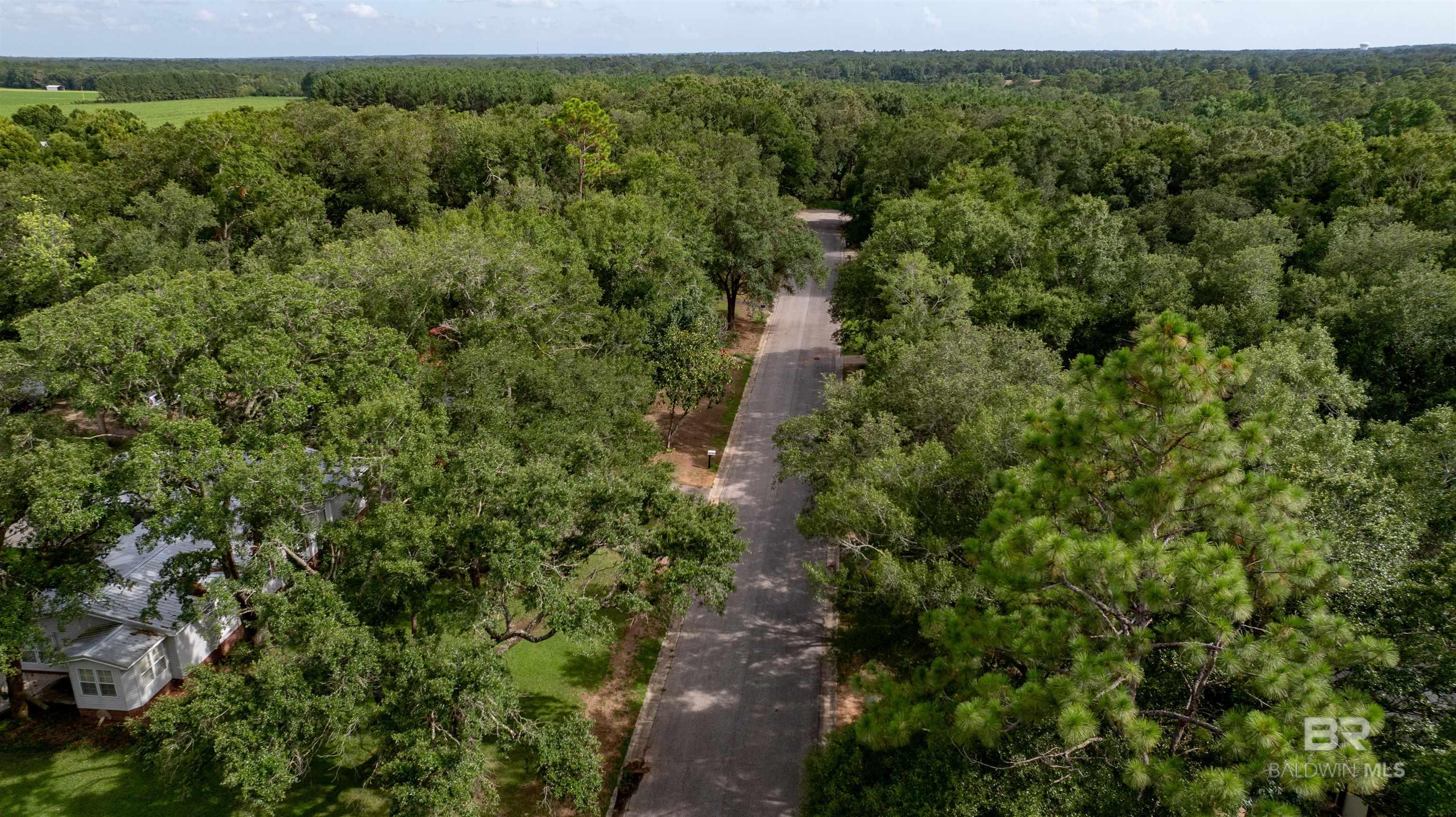 Lot 3 Caney Creek Drive, Daphne, AL, 36536