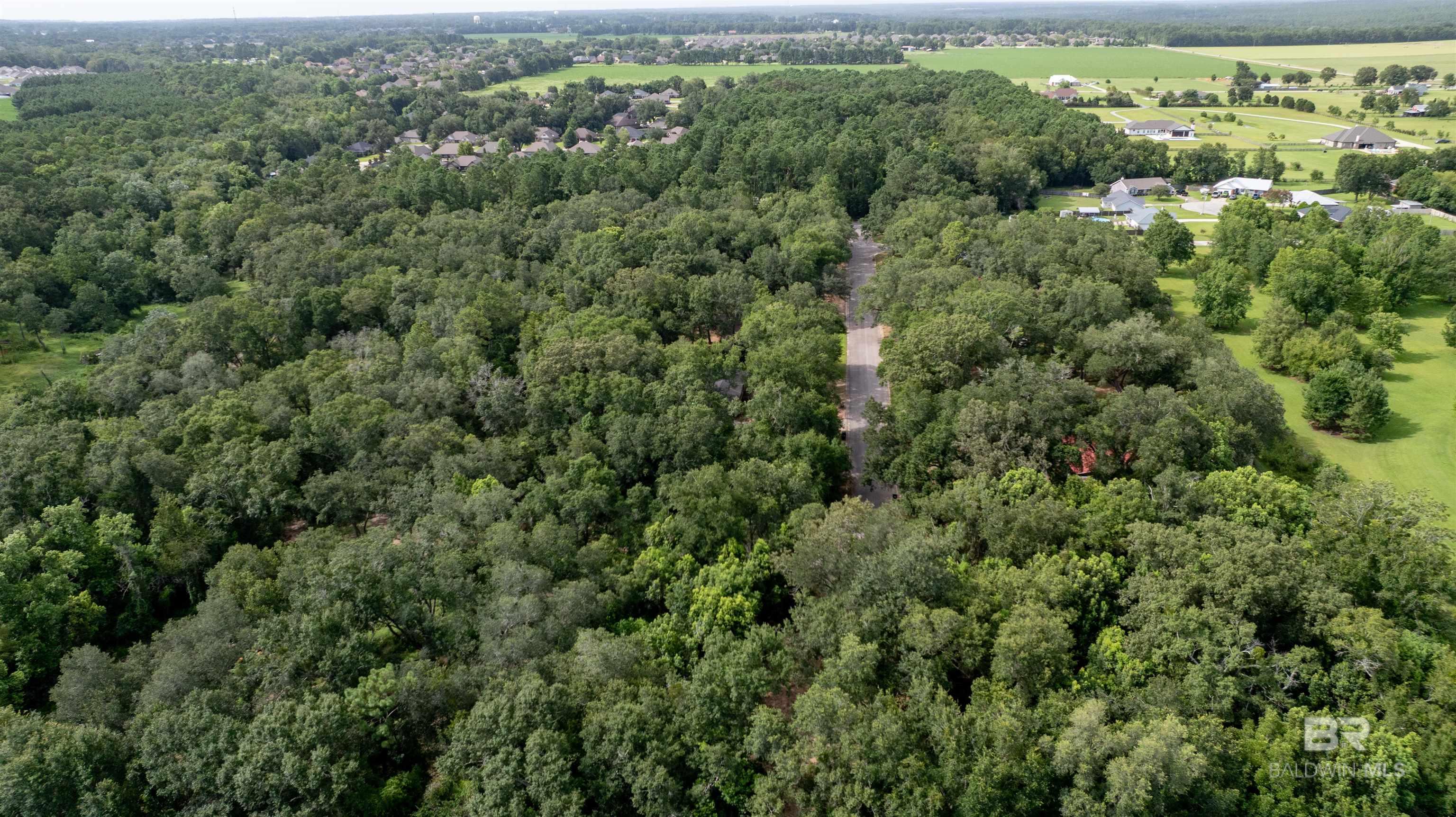 Lot 3 Caney Creek Drive, Daphne, AL, 36536