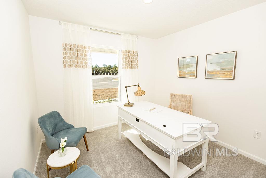 18920 Zoysia Loop, Foley, AL, 36535