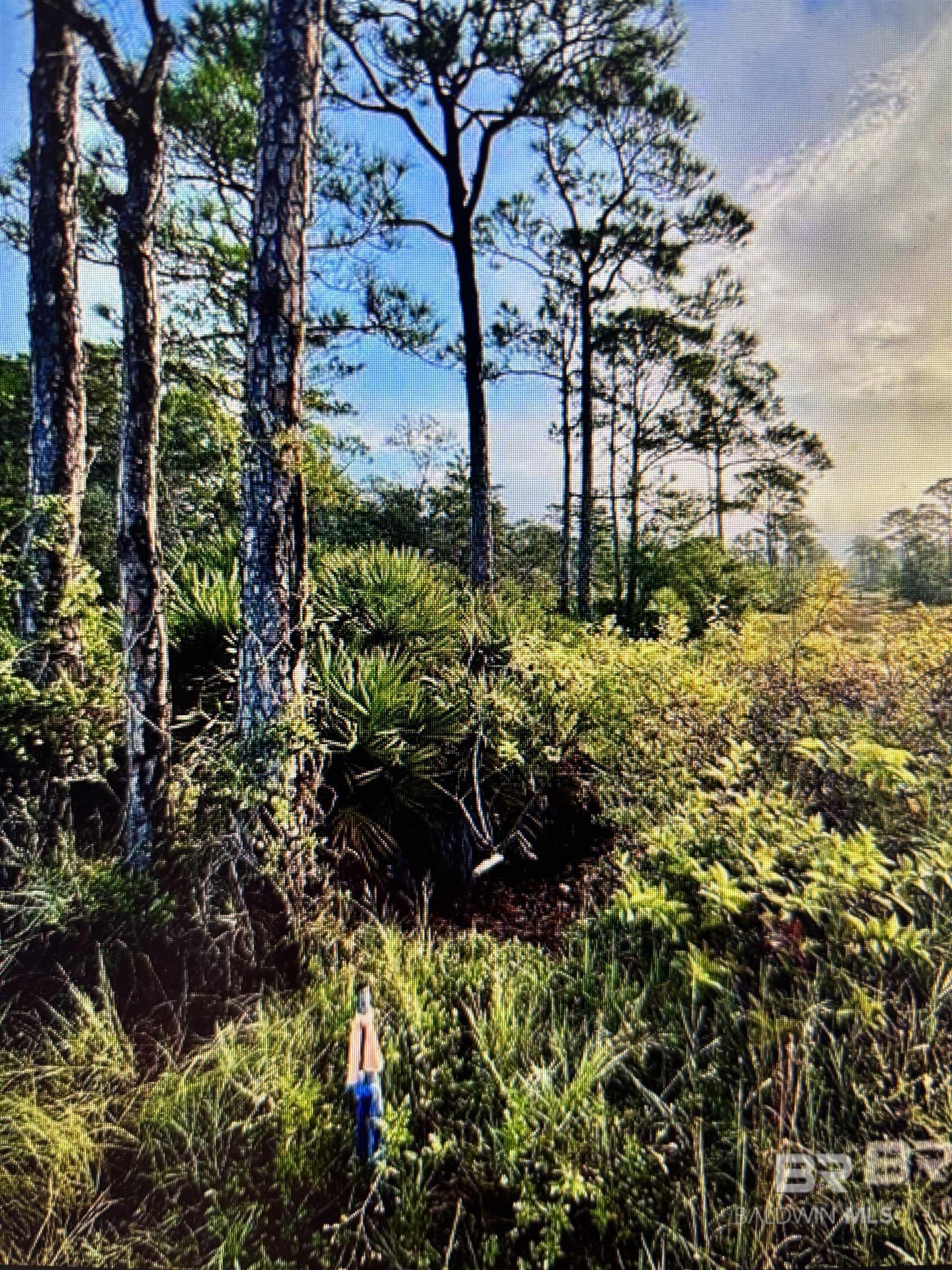 Homes for Sale in Gulf Shores - Gulf Shores AL