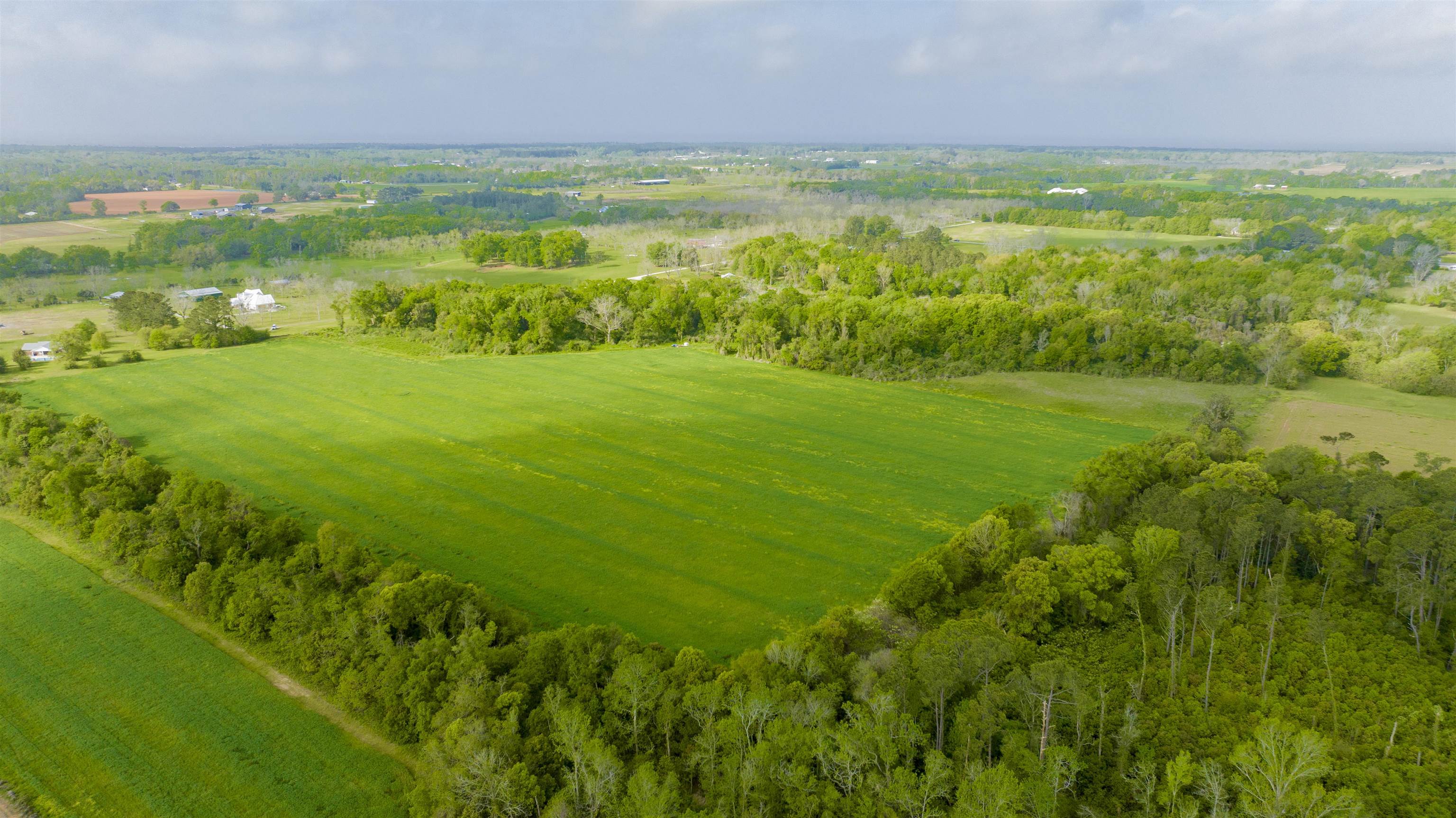 Luxury Homes in Fairhope