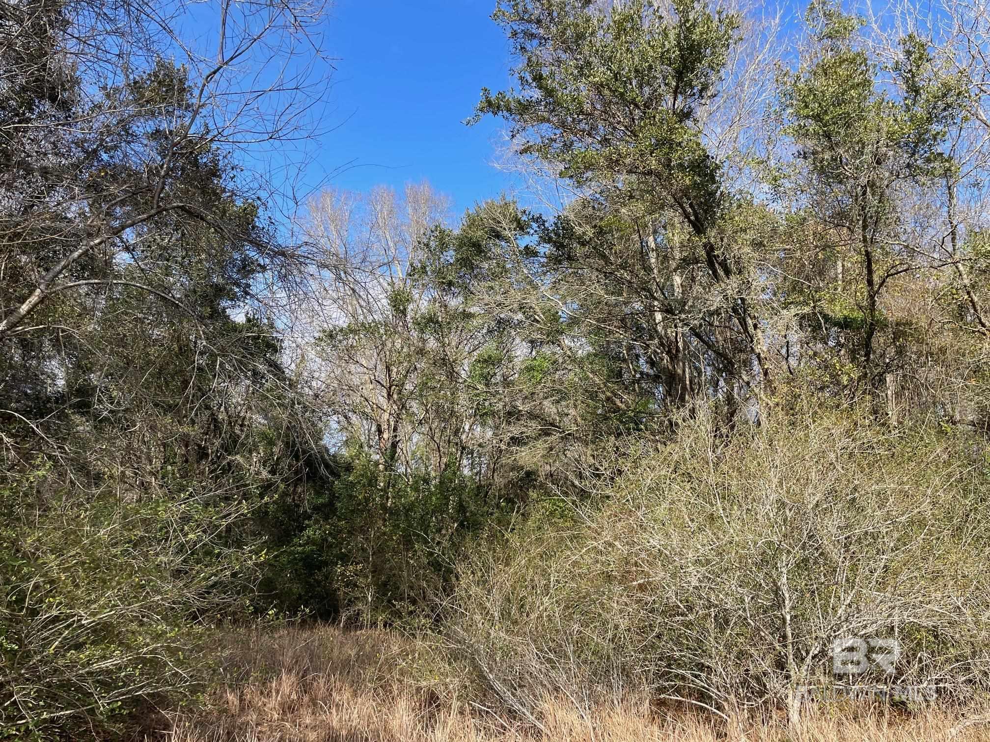 0 County Road 13, Fairhope, AL, 36532