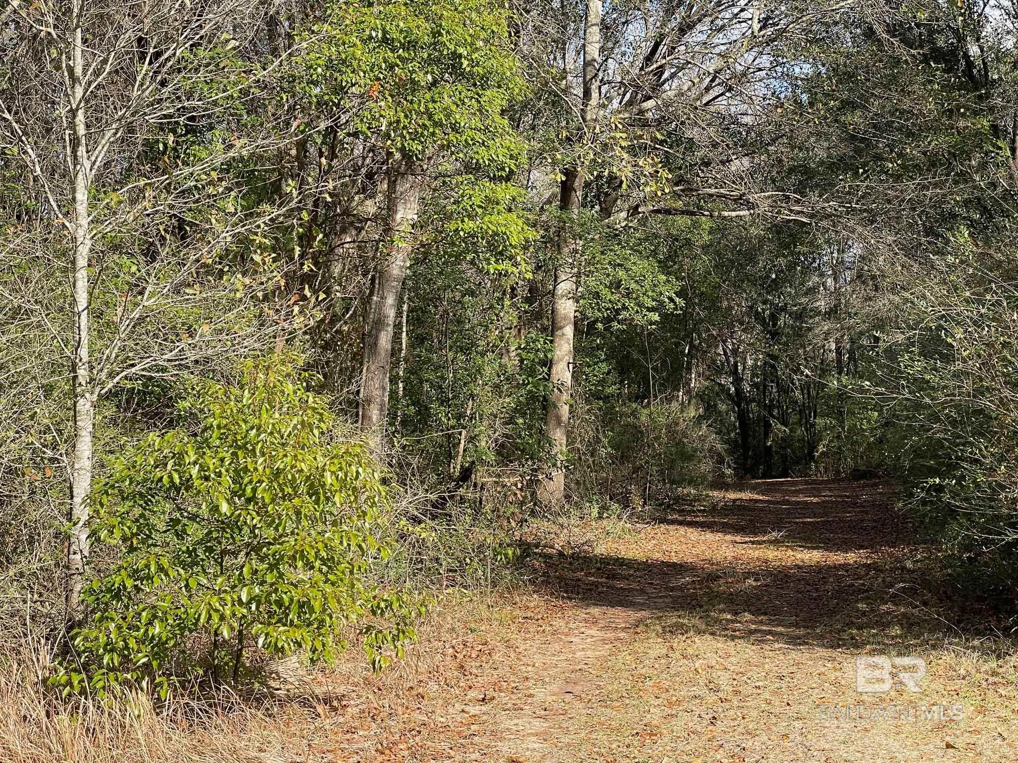 0 County Road 13, Fairhope, AL, 36532