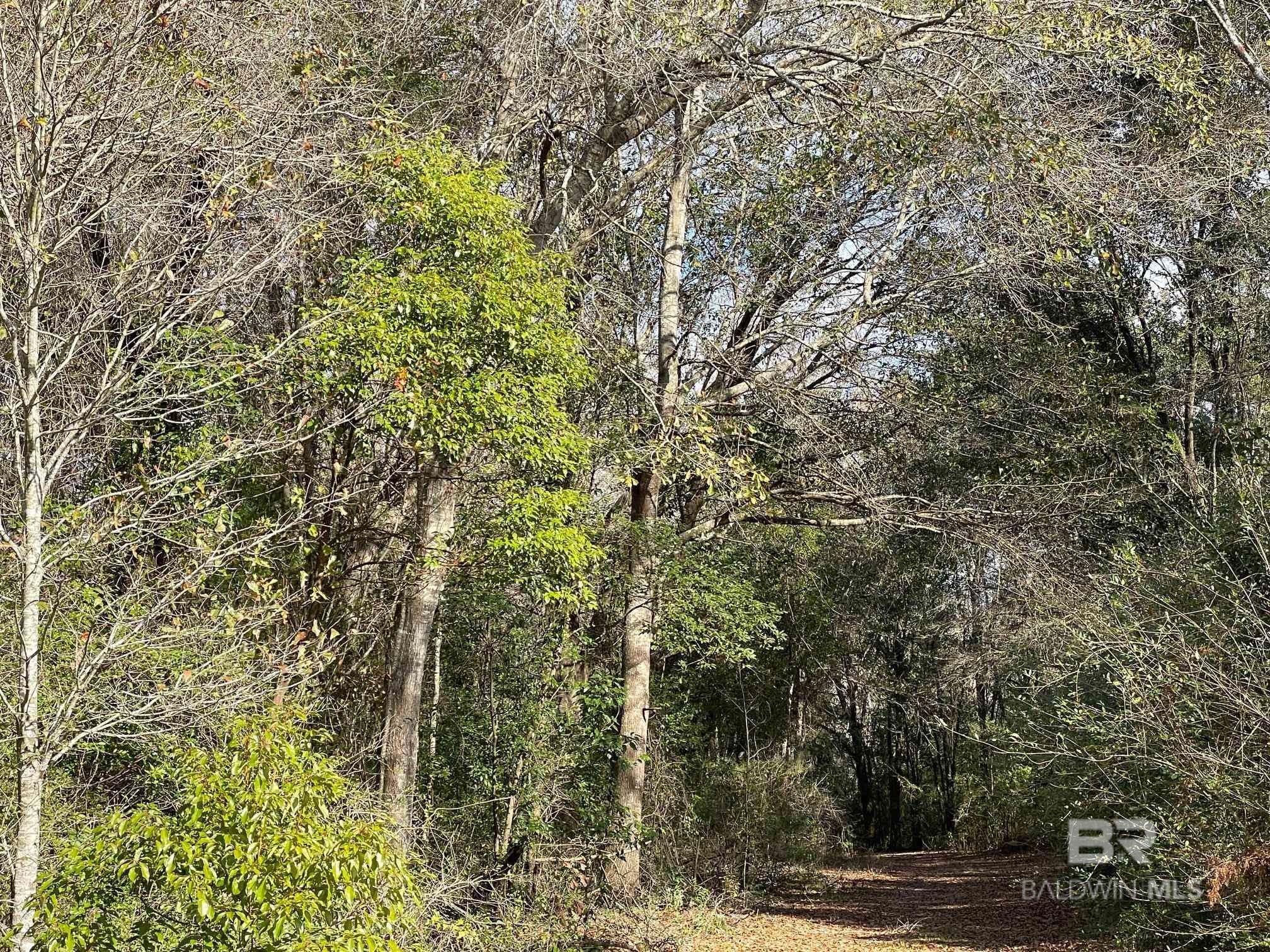 0 County Road 13, Fairhope, AL, 36532