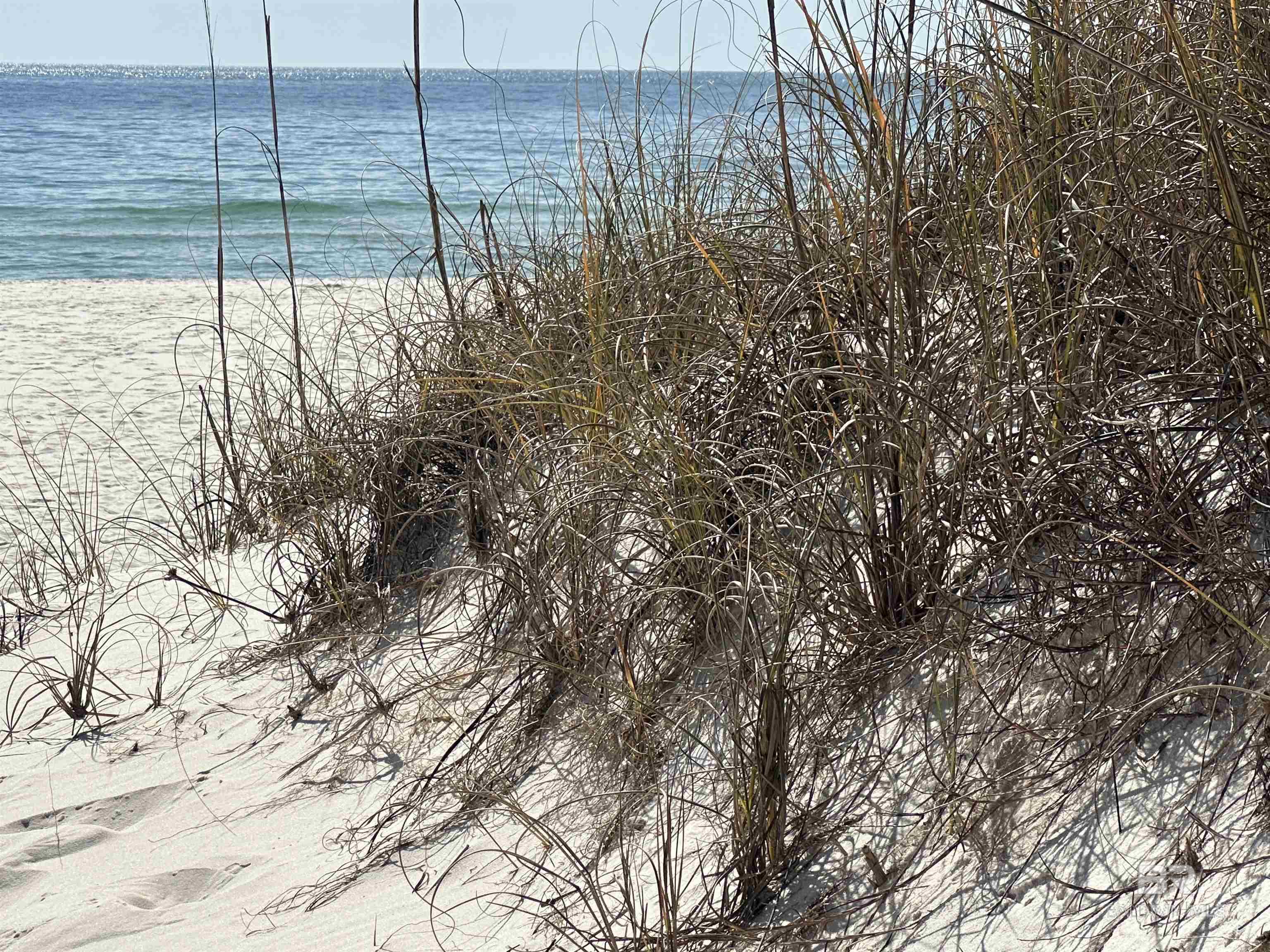 14100 River Road UNIT 114- a building, Perdido Key, FL, 32507