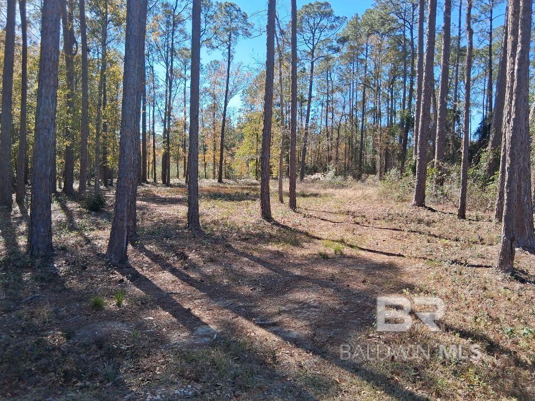 10116 Bayhaven Drive, Fairhope, AL, 36532