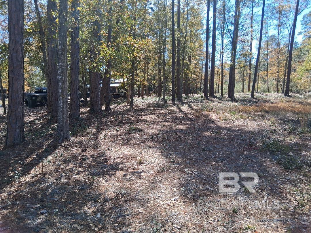 10116 Bayhaven Drive, Fairhope, AL, 36532