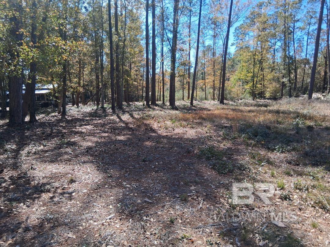 10116 Bayhaven Drive, Fairhope, AL, 36532