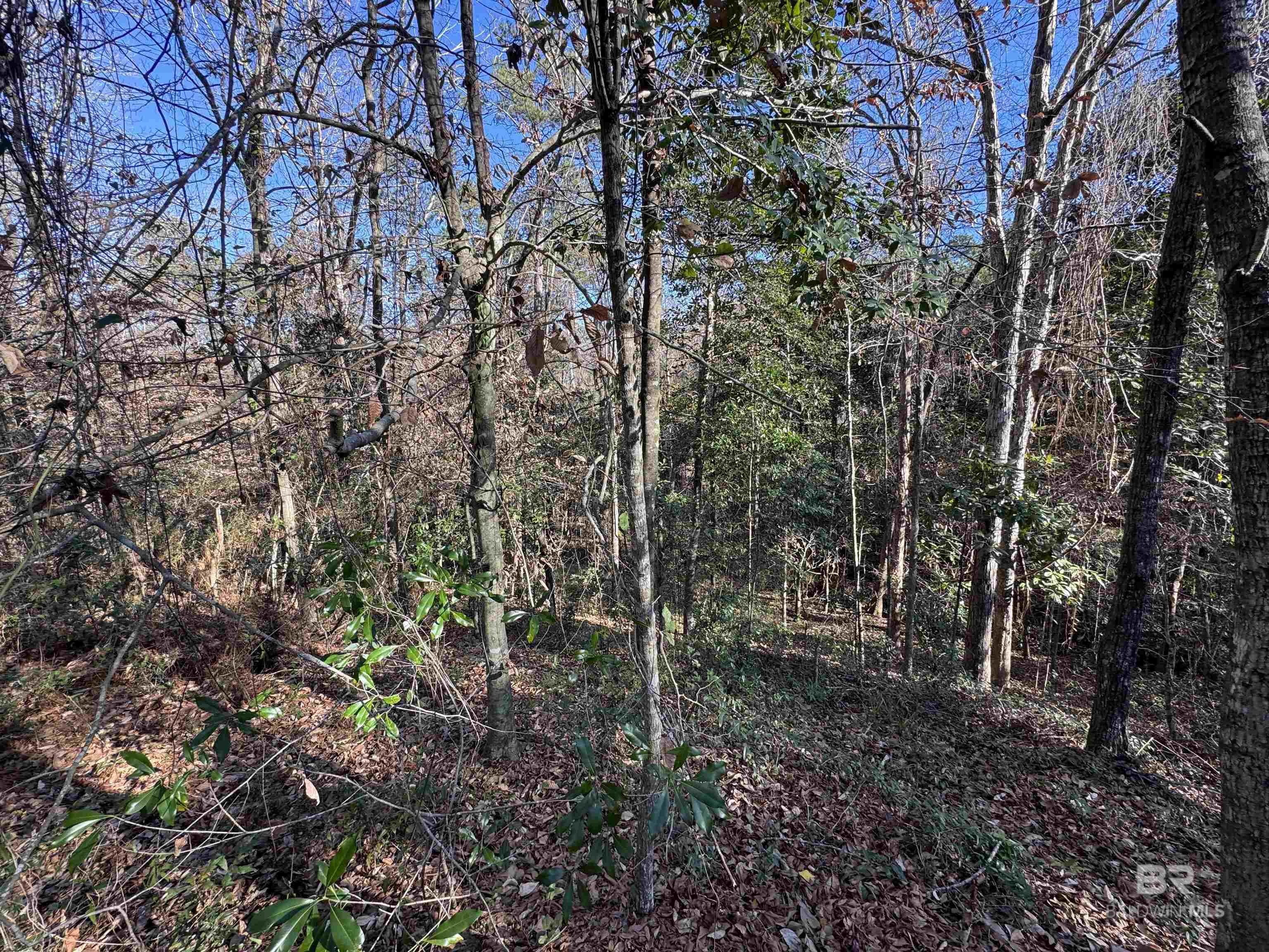 0 Bugle Retreat, Spanish Fort, AL, 36527