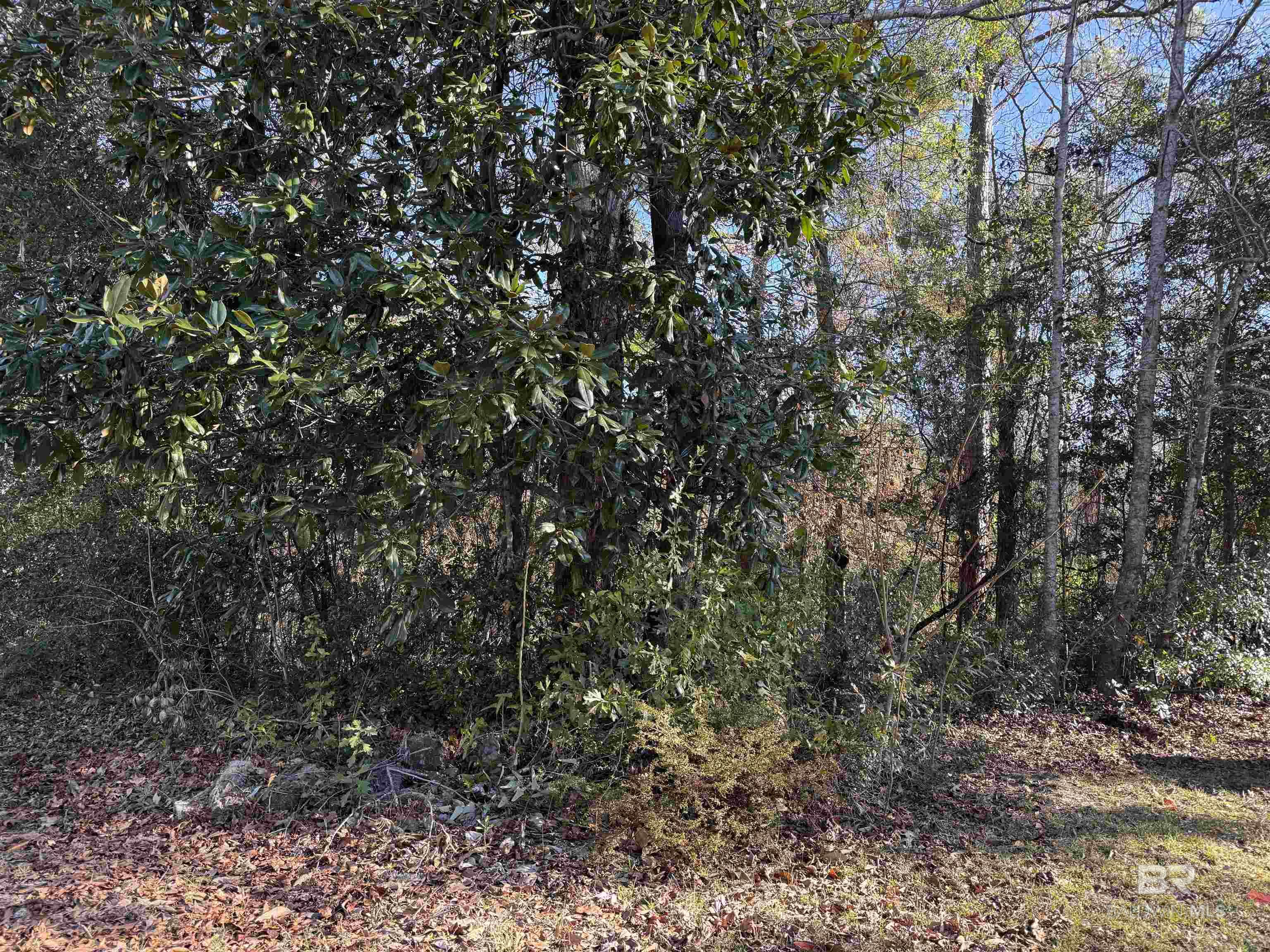 0 Bugle Retreat, Spanish Fort, AL, 36527