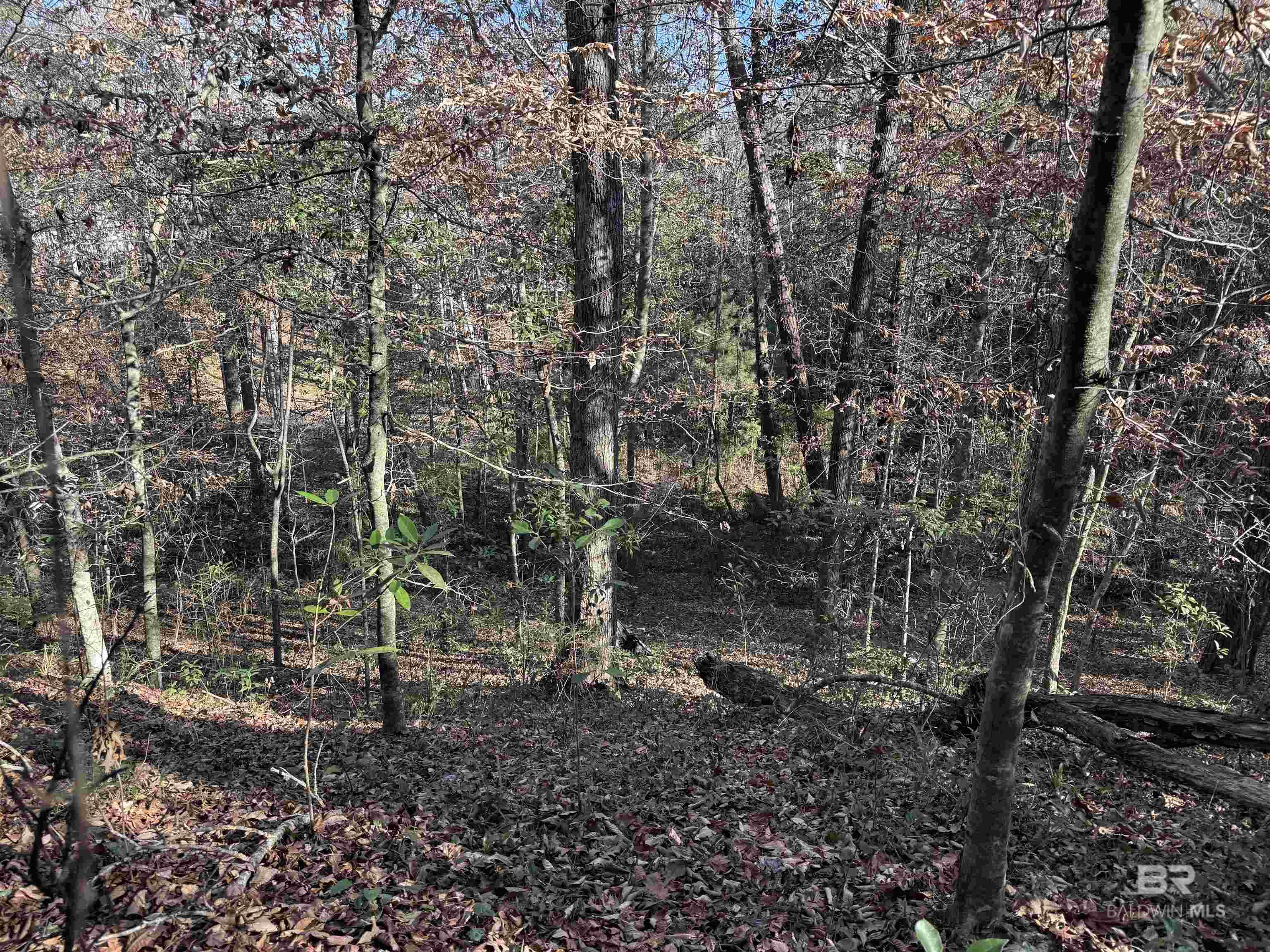 0 Bugle Retreat, Spanish Fort, AL, 36527