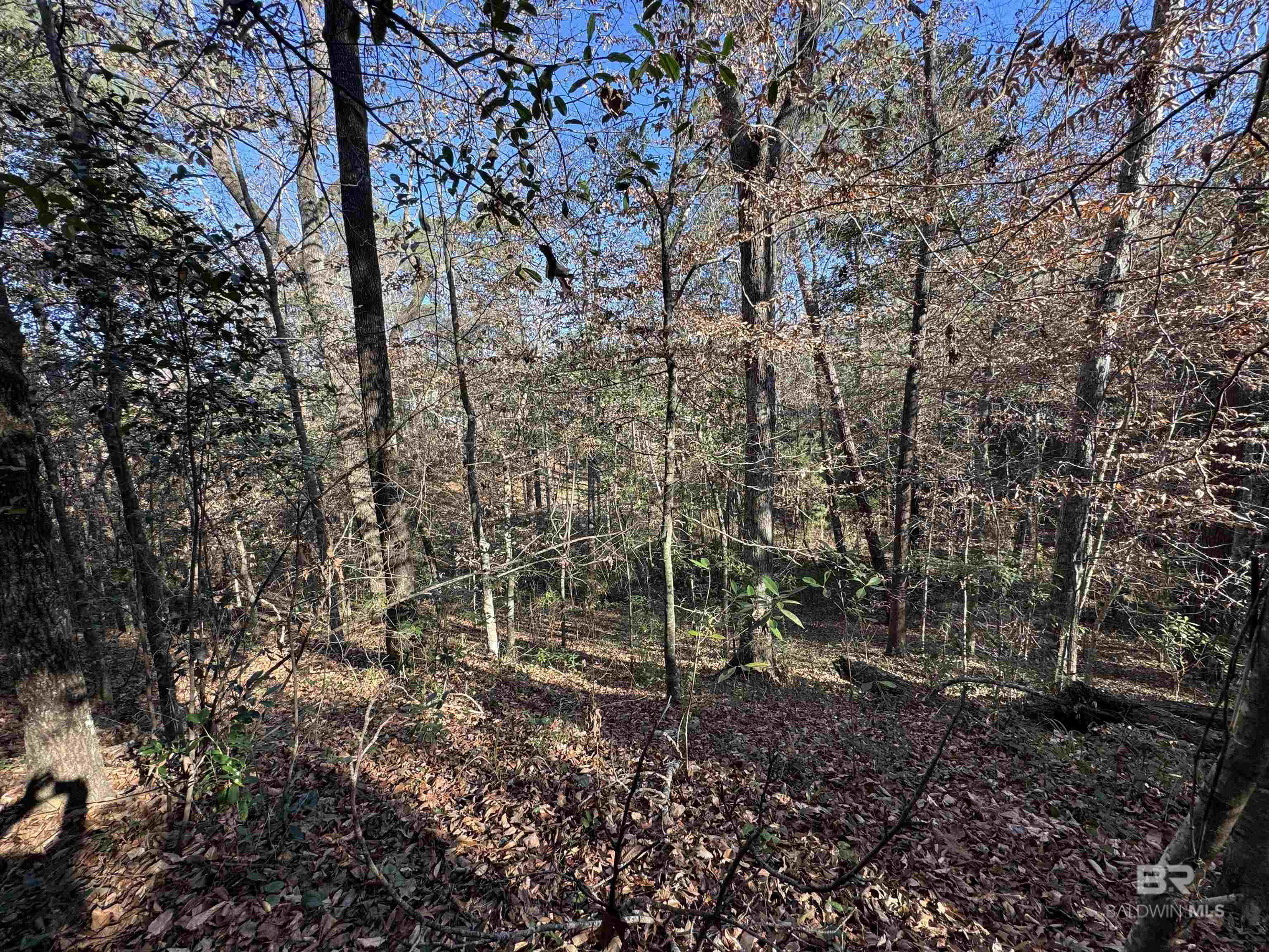 0 Bugle Retreat, Spanish Fort, AL, 36527