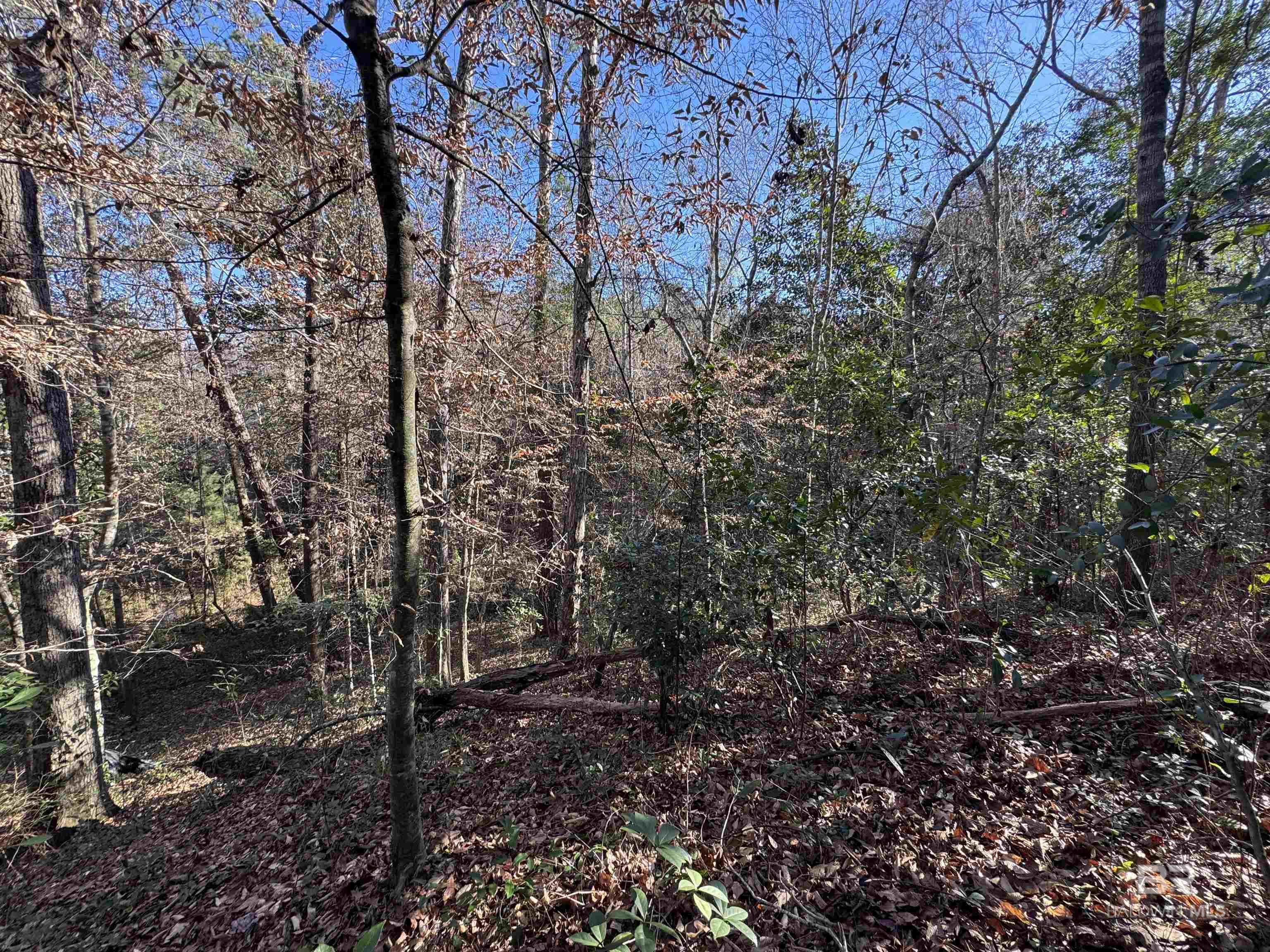 0 Bugle Retreat, Spanish Fort, AL, 36527