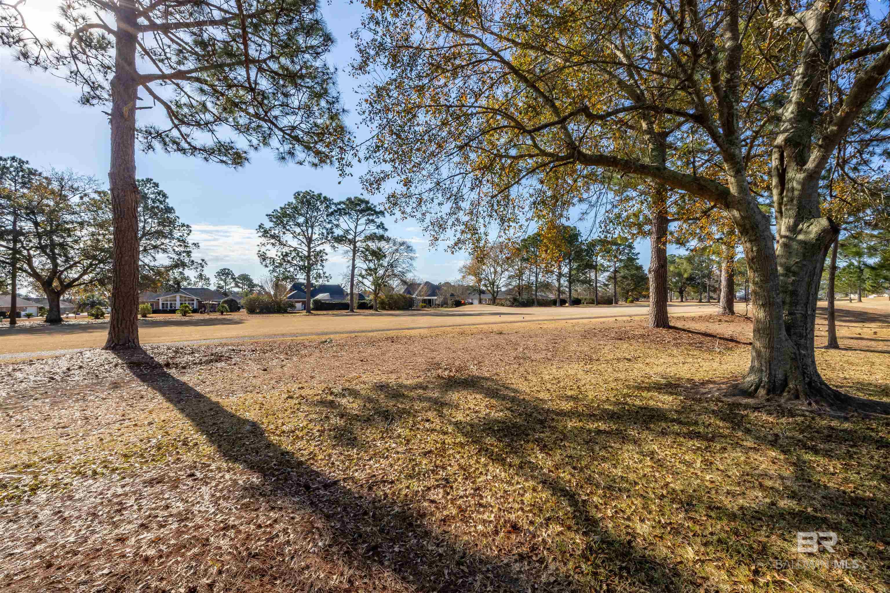 22520 Wedgewood Drive, Foley, AL, 36535