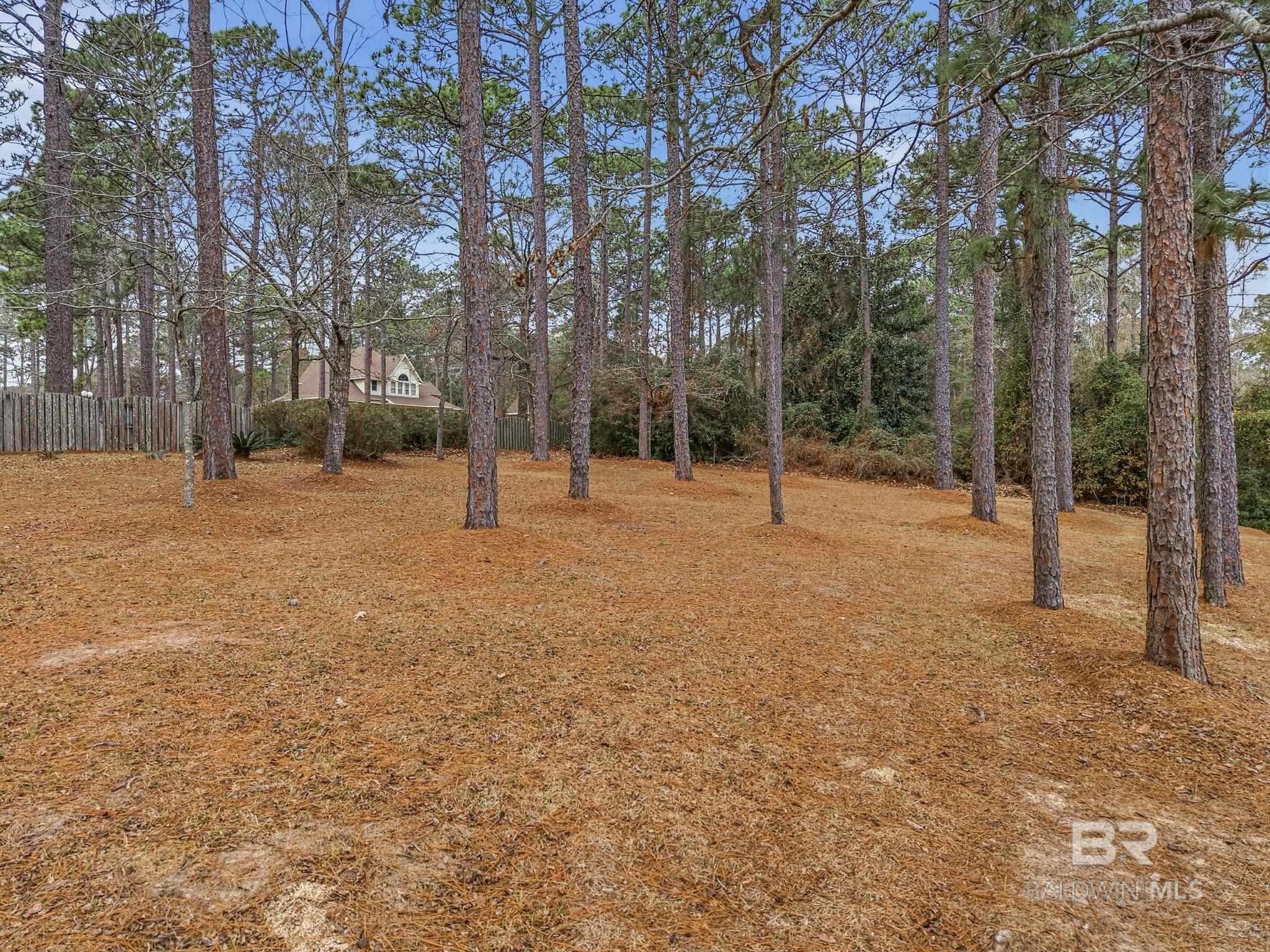 31515 Rhett Drive, Spanish Fort, AL, 36527