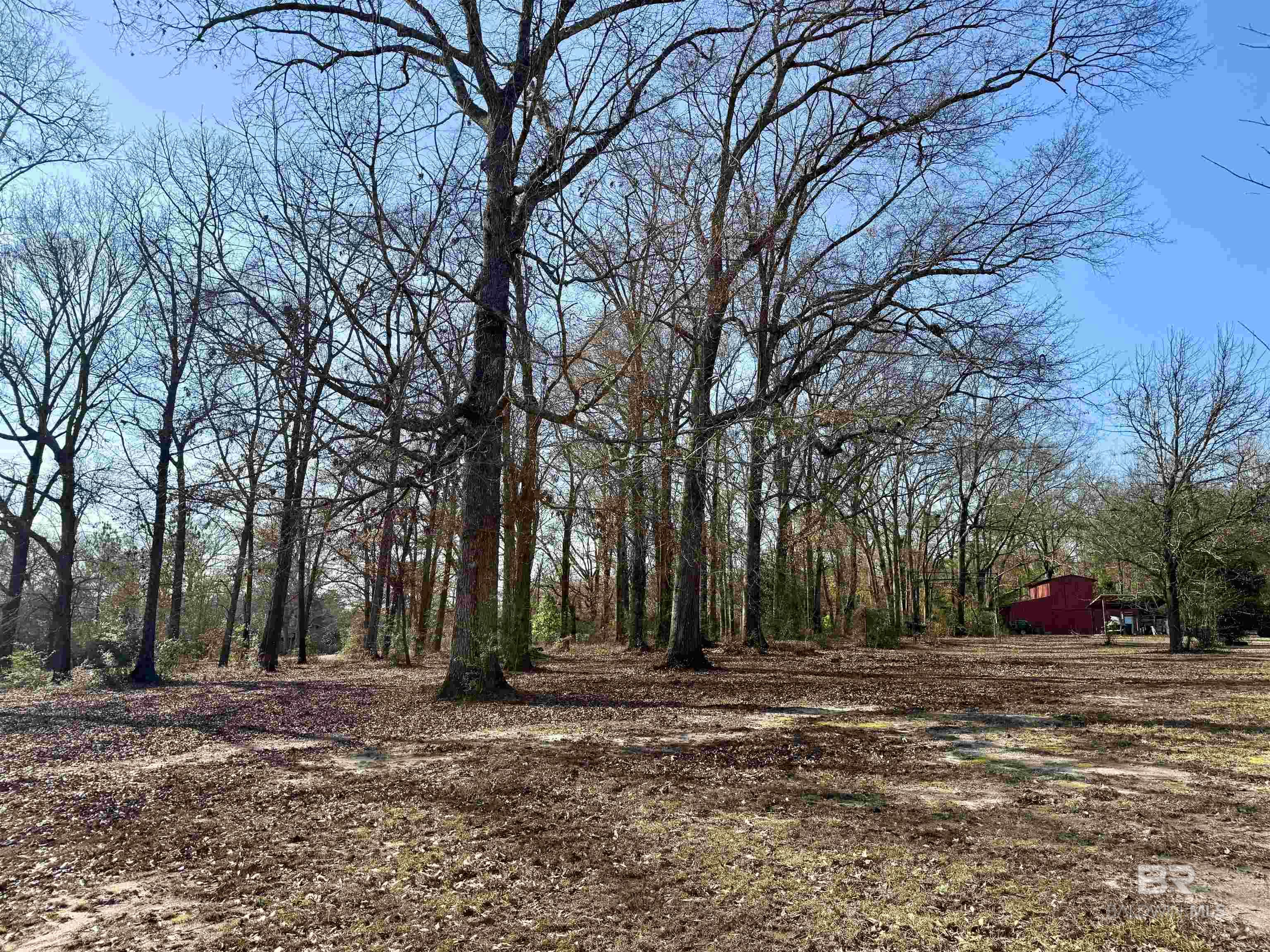 5646 Foshee Road, Brewton, AL, 36426