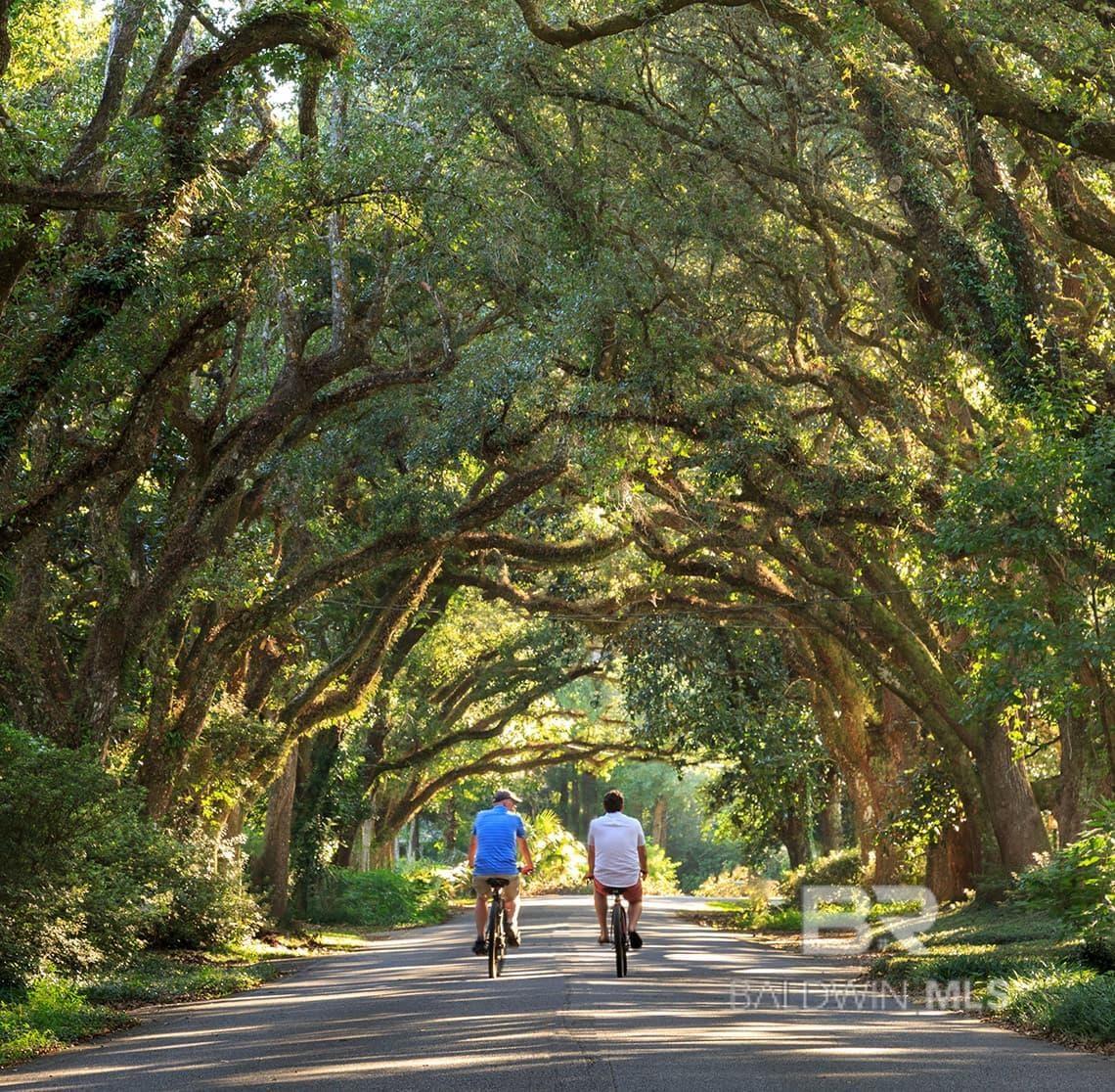 325 Morning Mist Way, Fairhope, AL, 36532