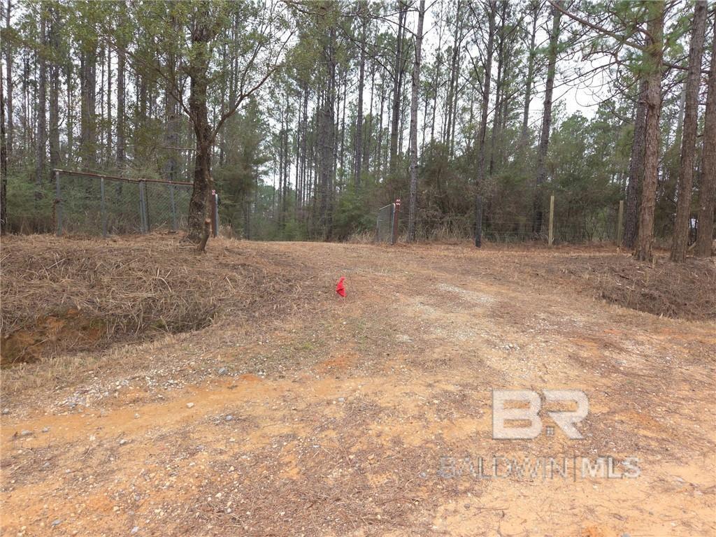 0 Chunchula Landfill Road, Chunchula, AL, 36521
