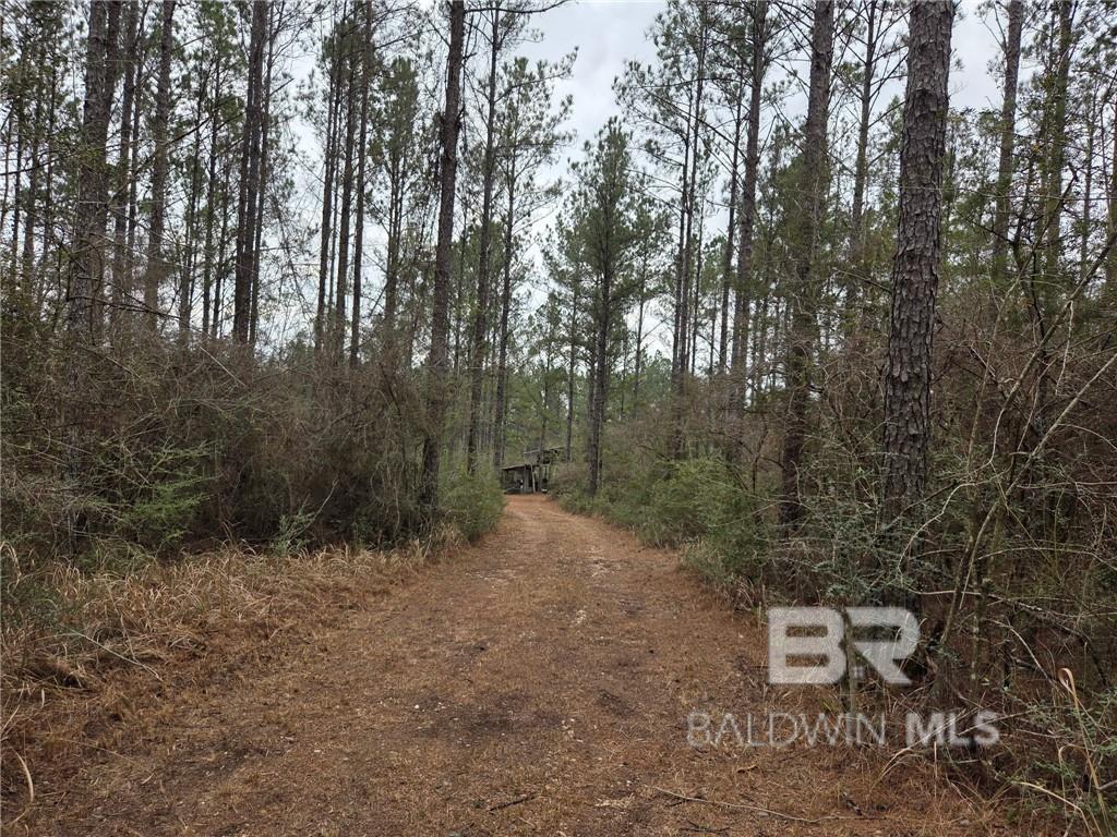 0 Chunchula Landfill Road, Chunchula, AL, 36521