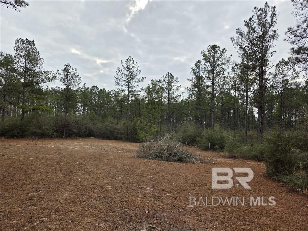 0 Chunchula Landfill Road, Chunchula, AL, 36521