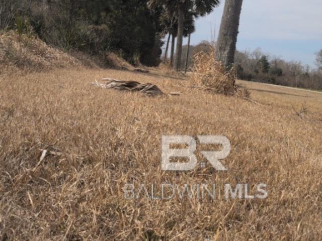 39449 S STATE HIGHWAY 59, Bay Minette, AL, 36507