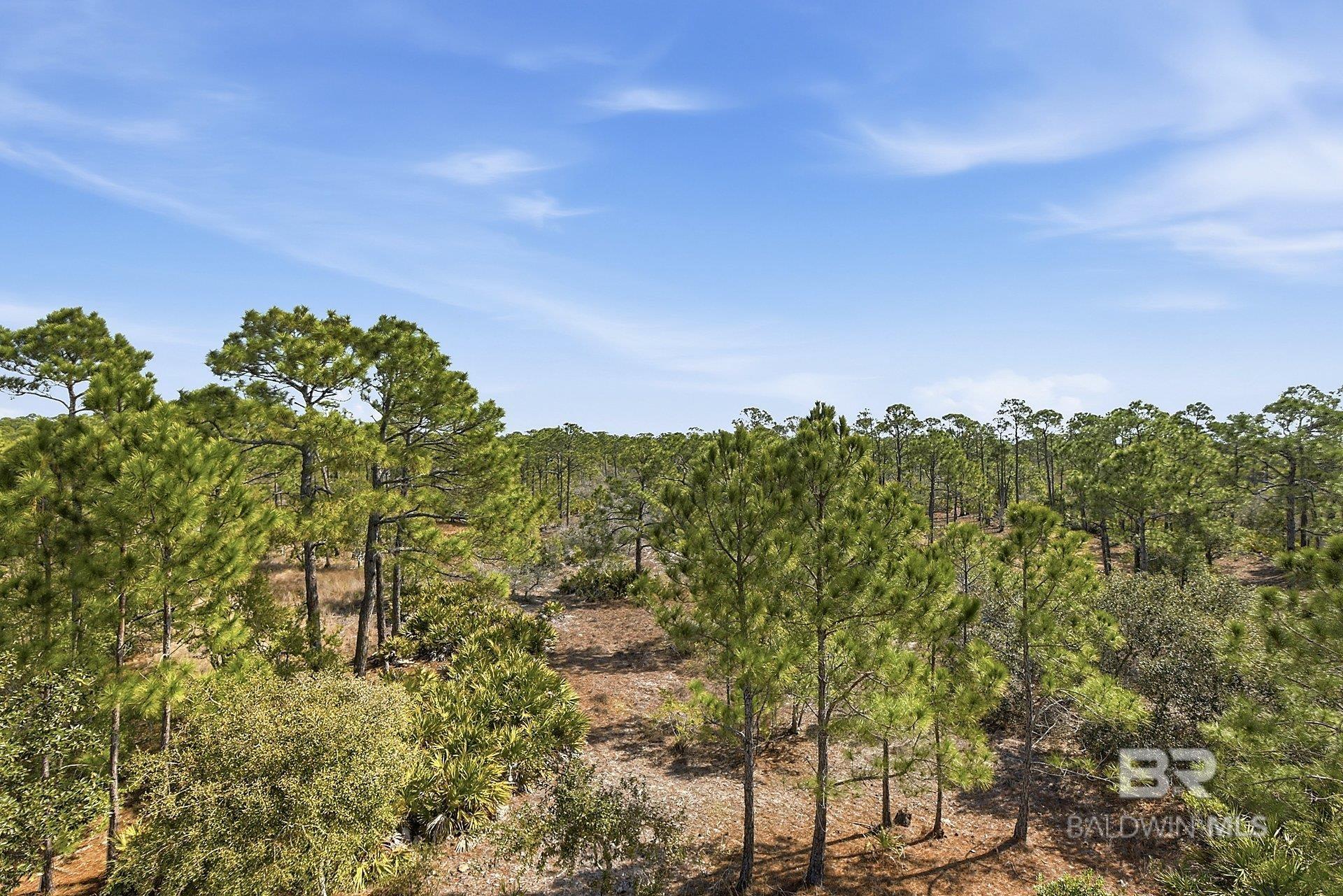 9351 Caravelle Lane, Gulf Shores, AL, 36542