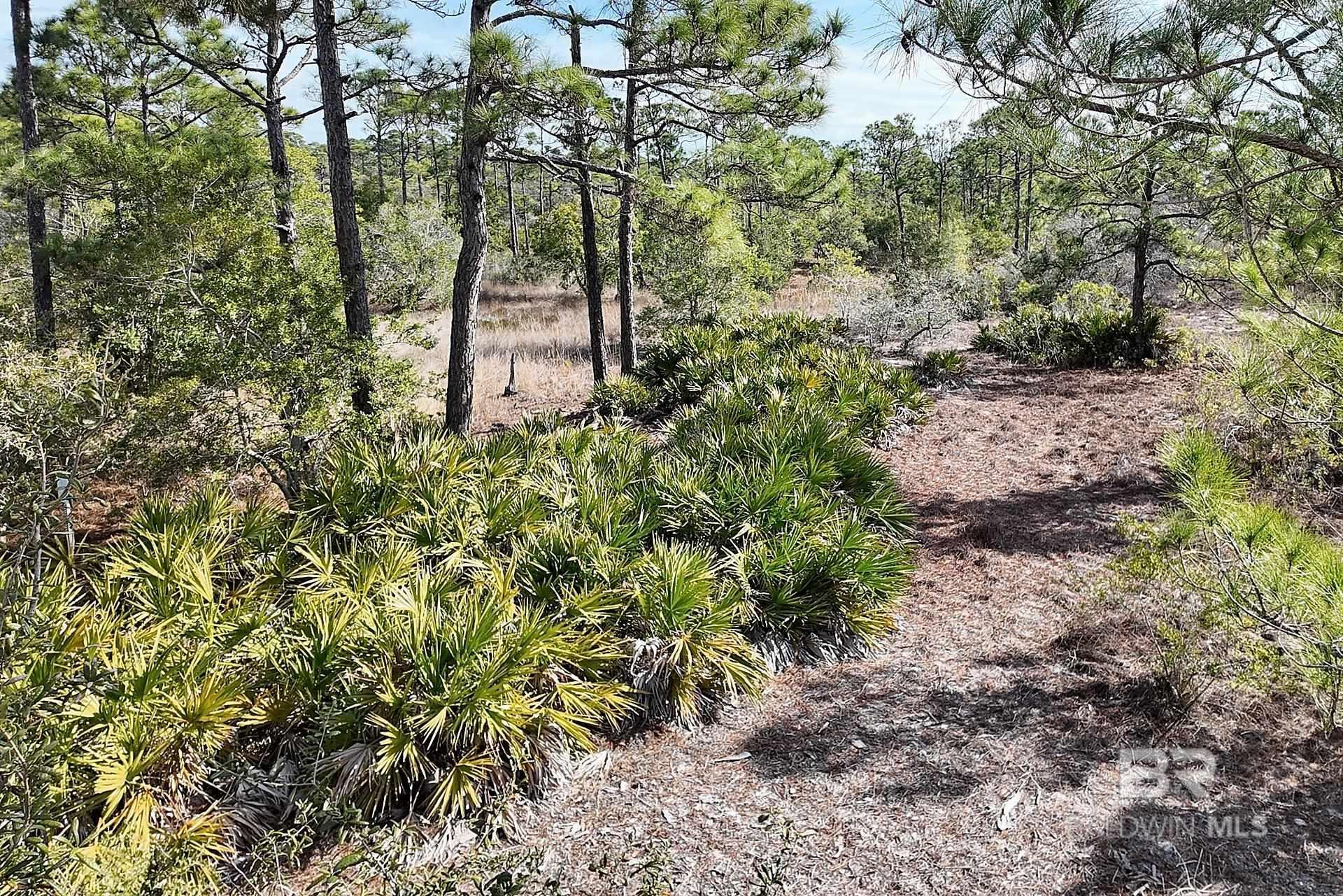 9351 Caravelle Lane, Gulf Shores, AL, 36542