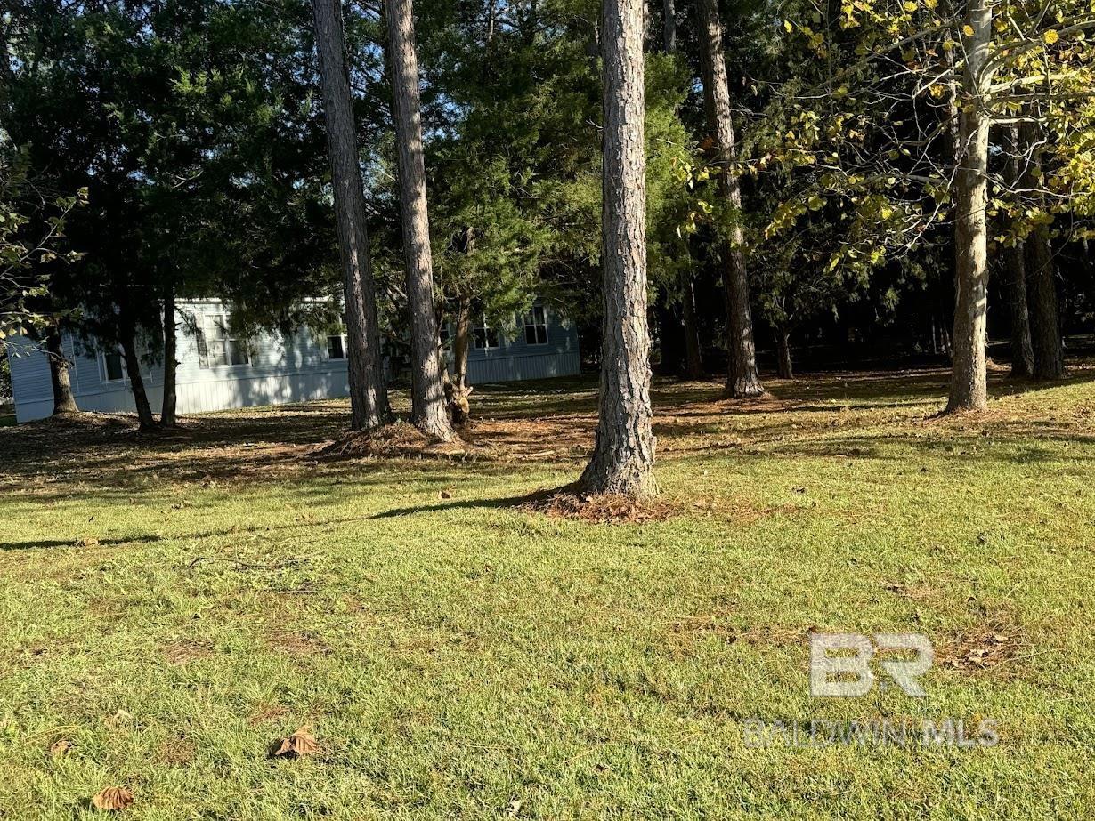 Robertsdale, AL, 36567