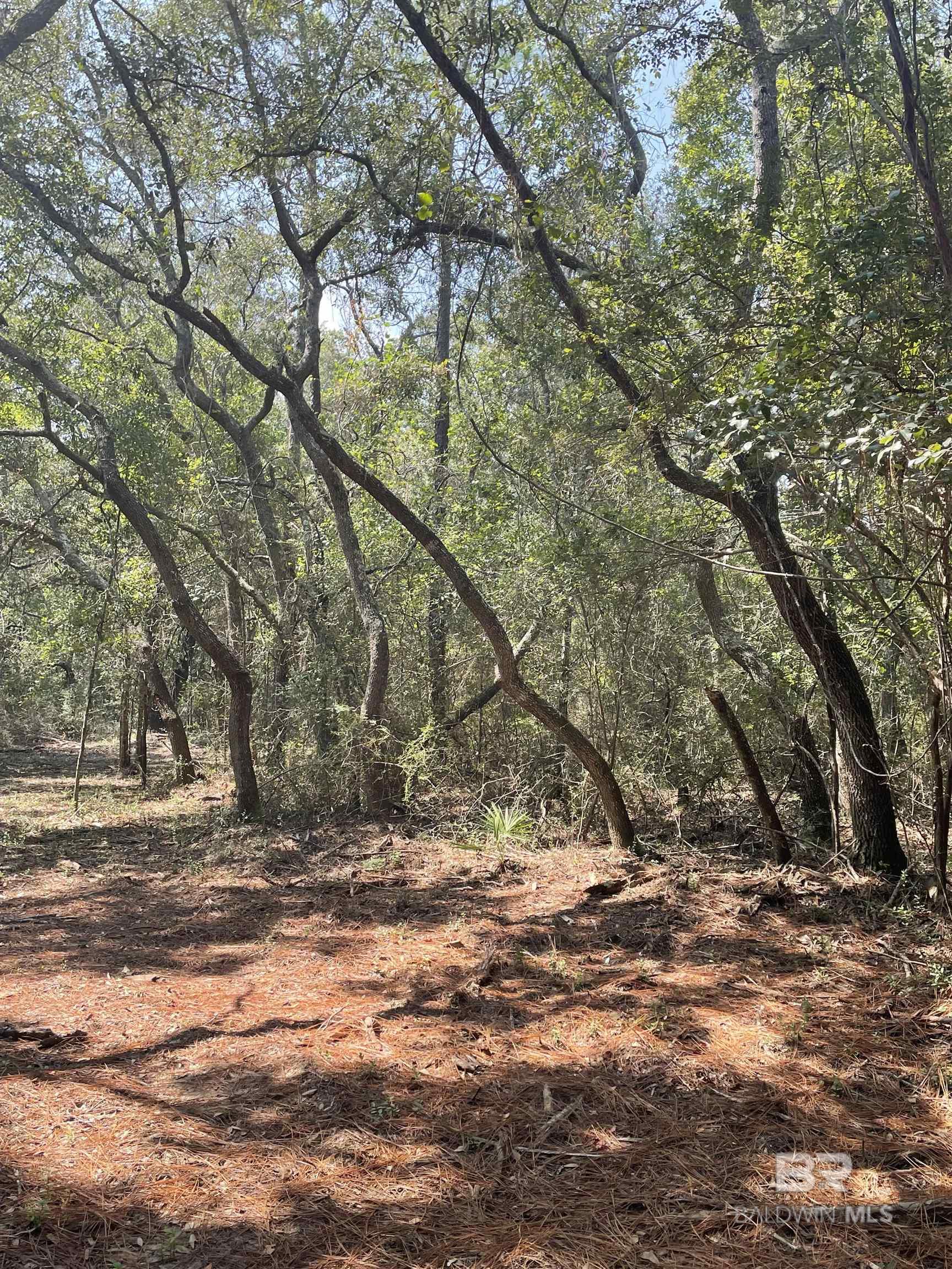 9847 S County Road 99, Lillian, AL, 36549