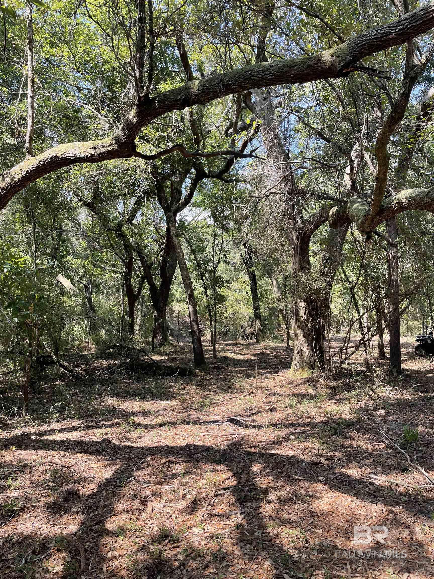 9847 S County Road 99, Lillian, AL, 36549