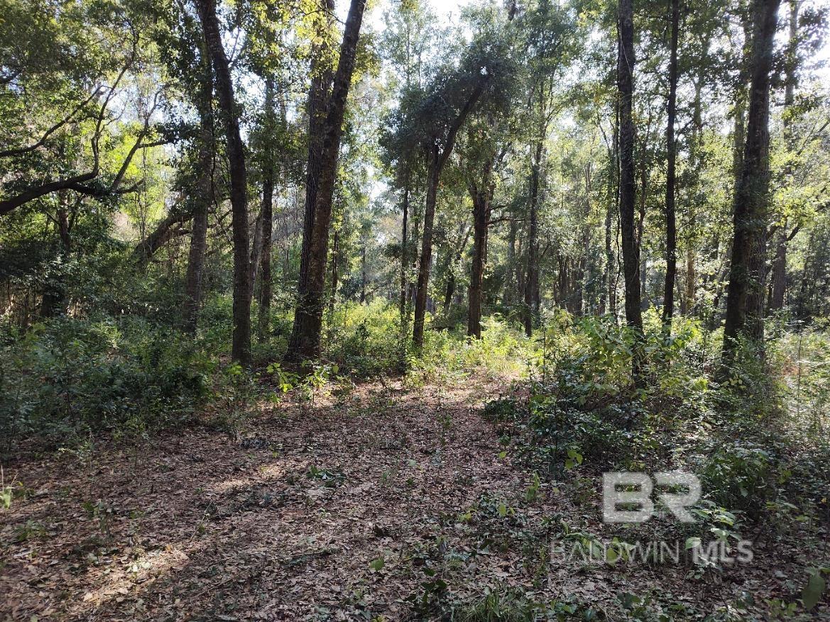 11208 Xanadu Trace, Foley, AL, 36535
