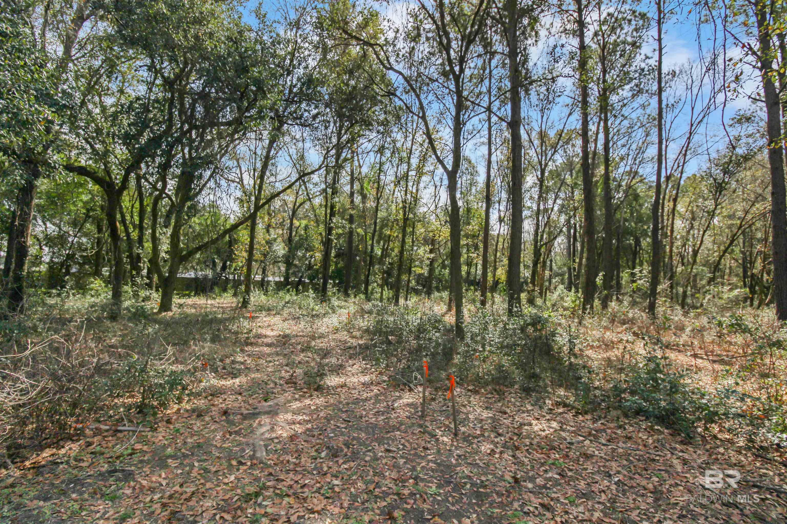 11208 Xanadu Trace, Foley, AL, 36535