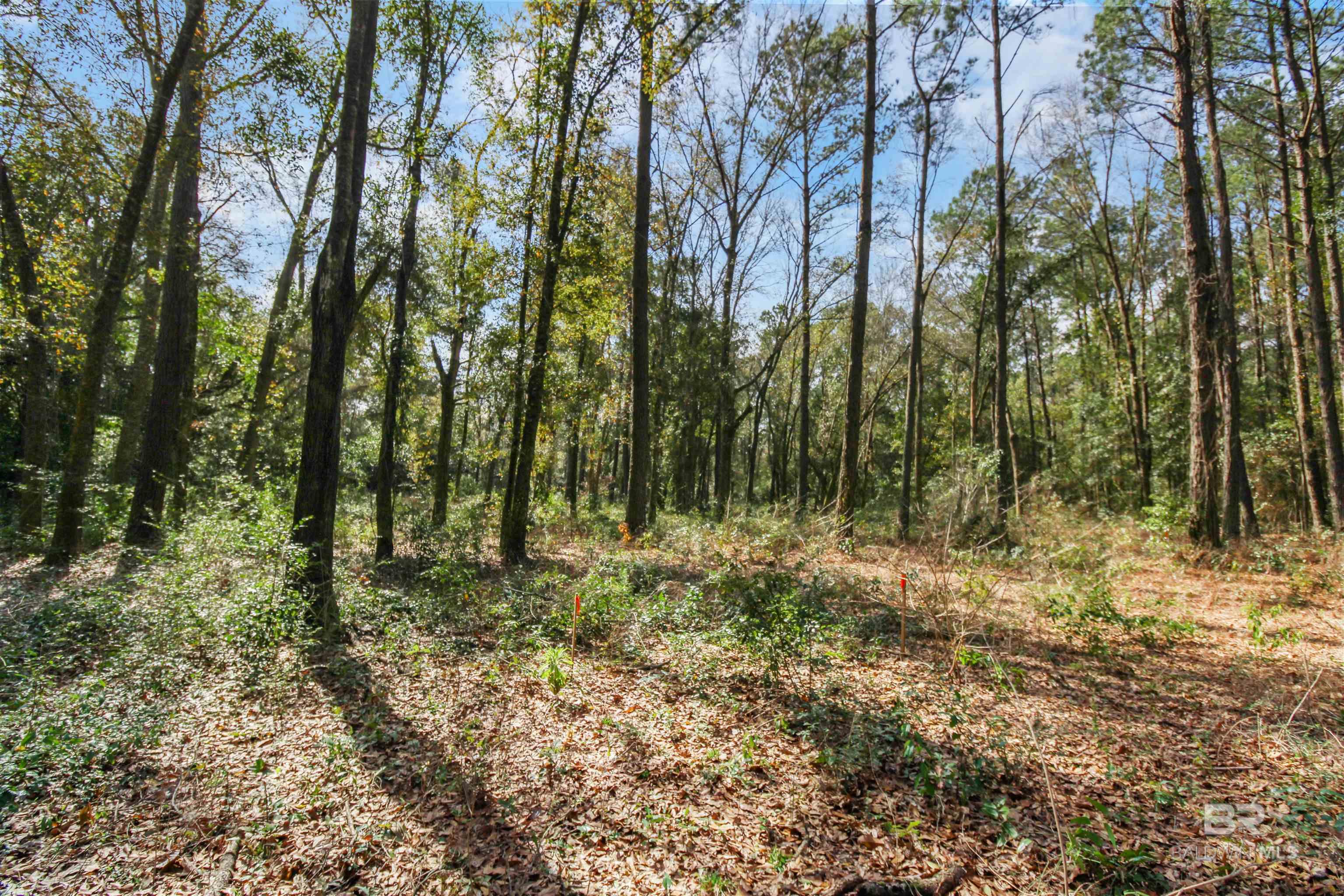 11208 Xanadu Trace, Foley, AL, 36535