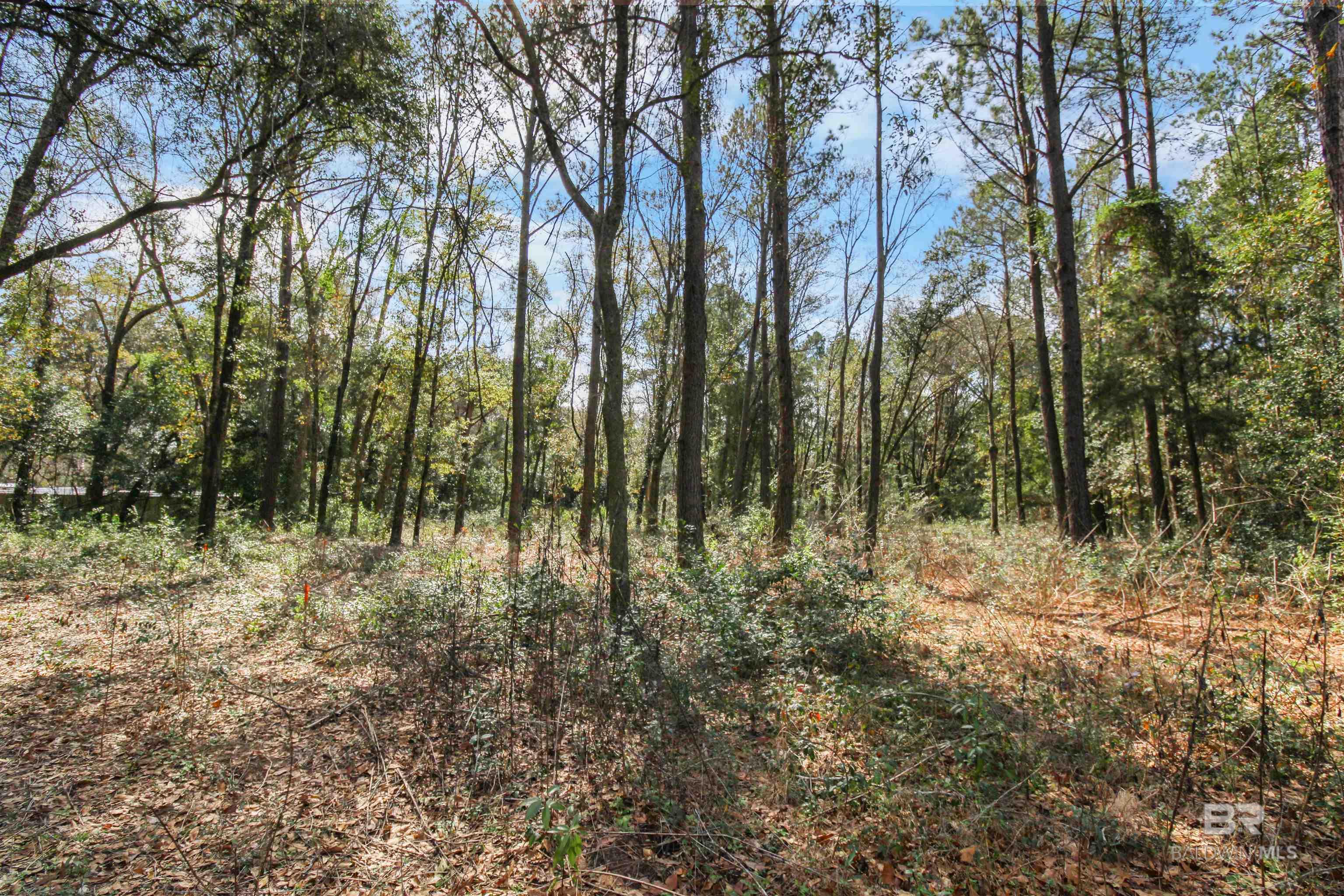 11208 Xanadu Trace, Foley, AL, 36535
